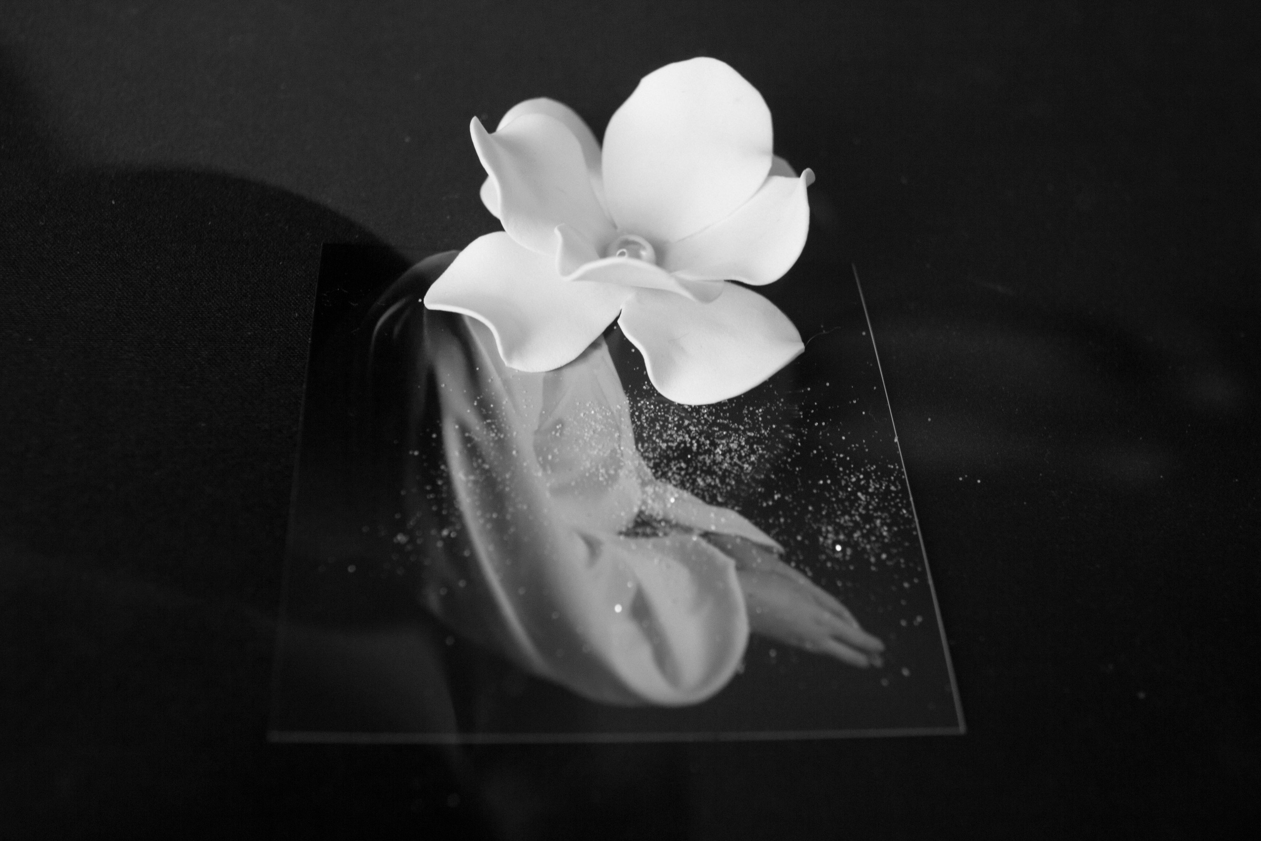 Градация 50 оттенков серого