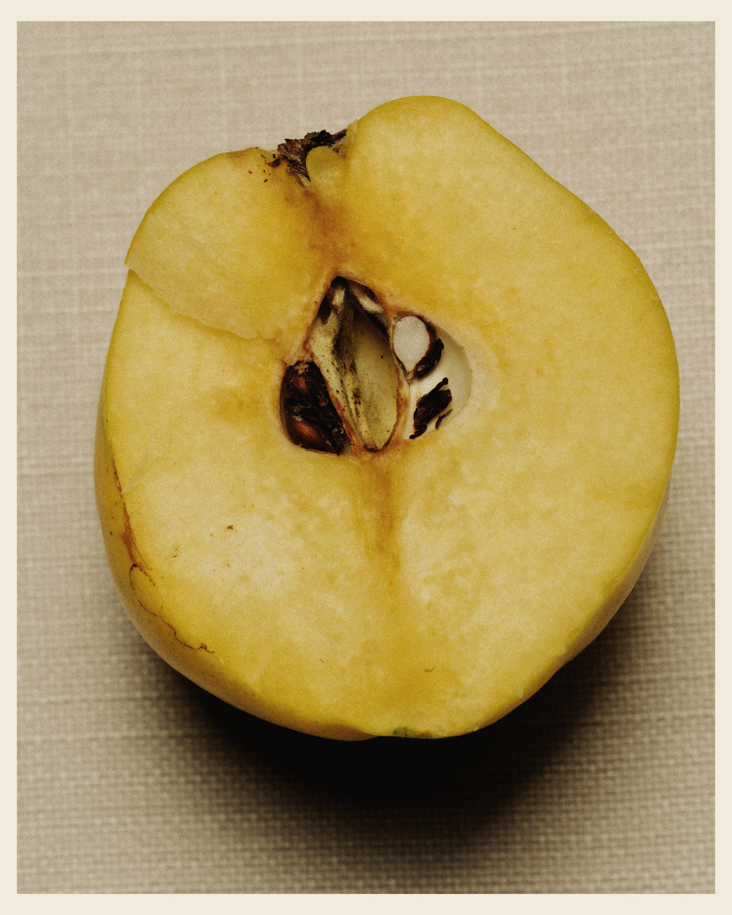 DAREDZHANI x VANO. Ivan Petrov photographer