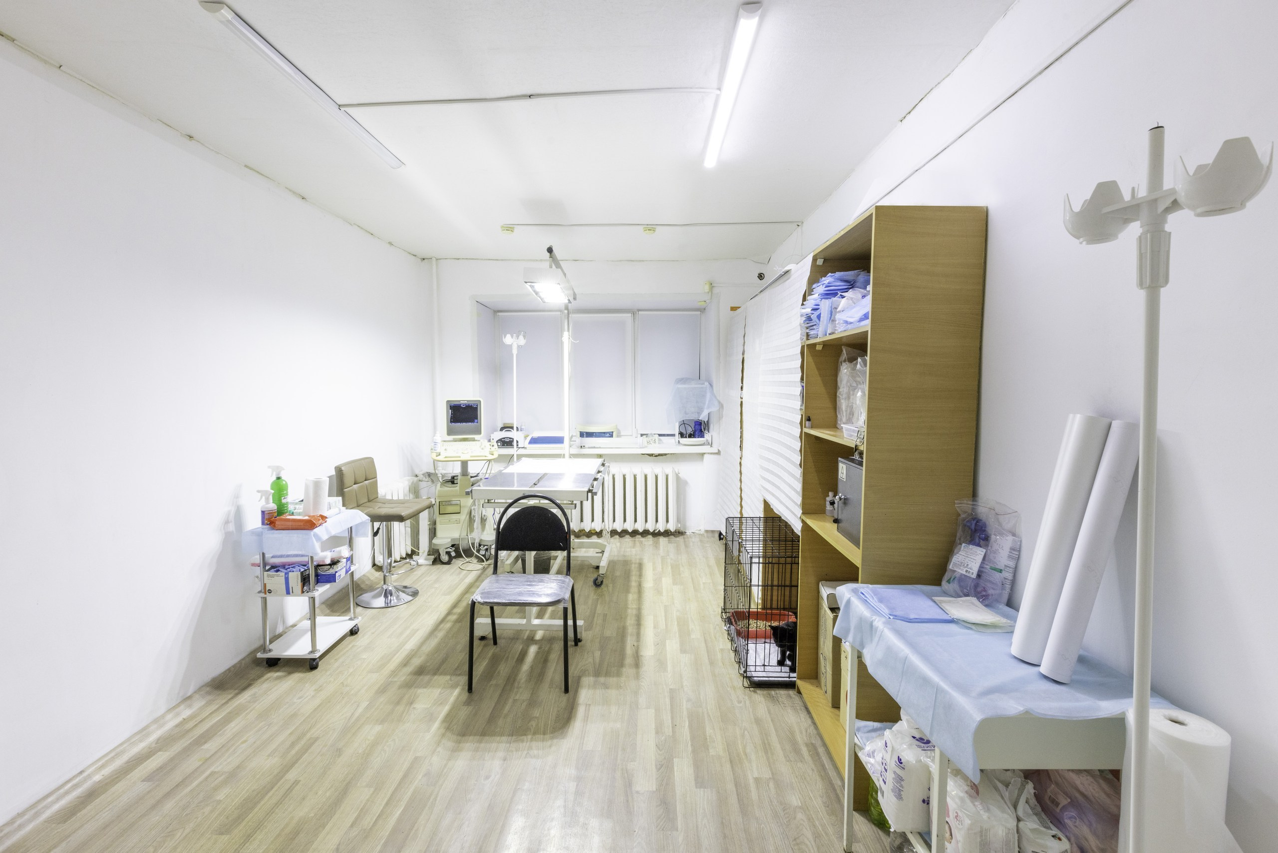 БАРОН. Ветеринарная клиника. Фотограф в Туле Крупский АнДРей. Фотостудия «КАДР71» в Туле