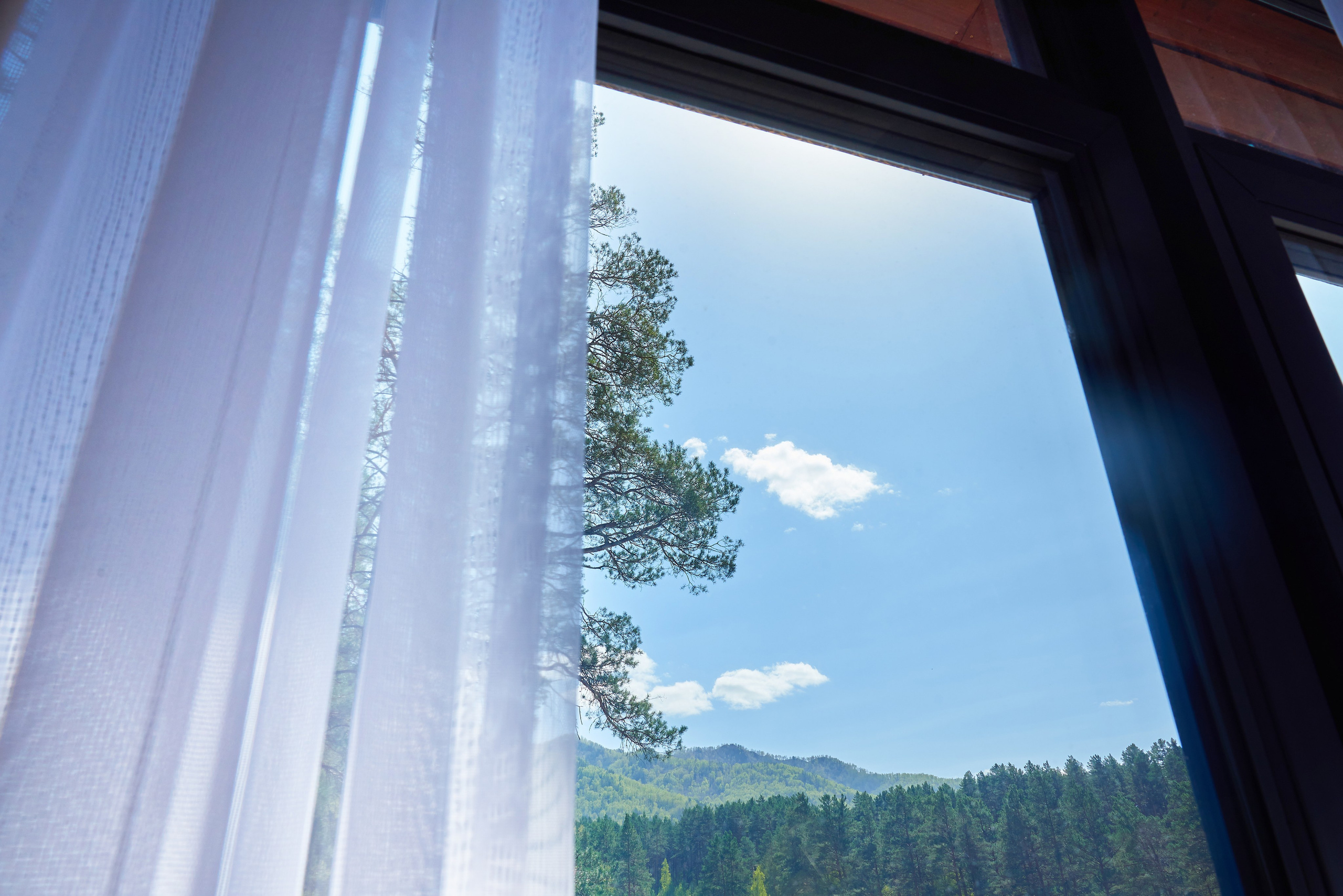 Отель «Лес». Семейный фотограф в Барнауле, Горный Алтай, Заринск, Алейск