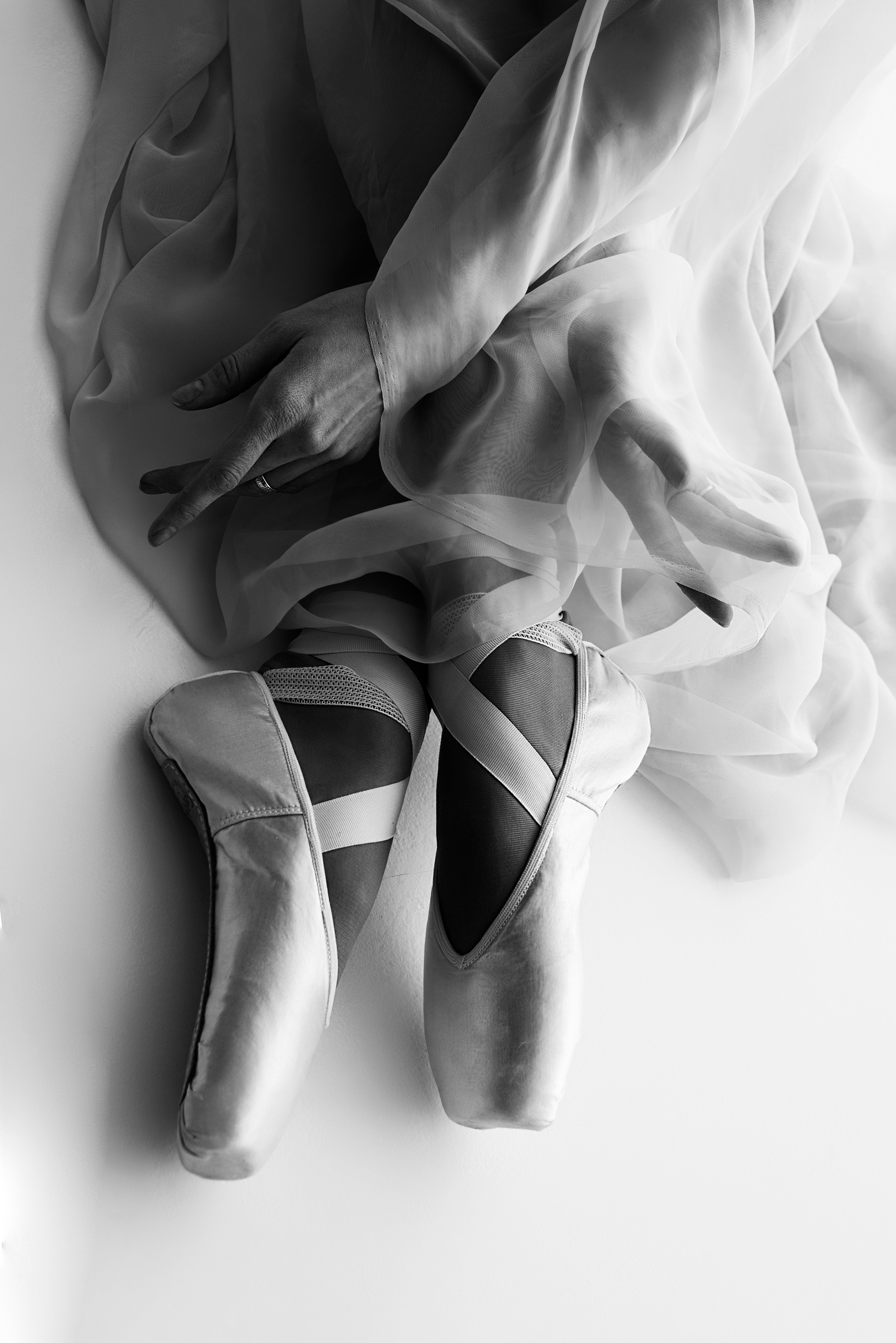 Искусство линии и света