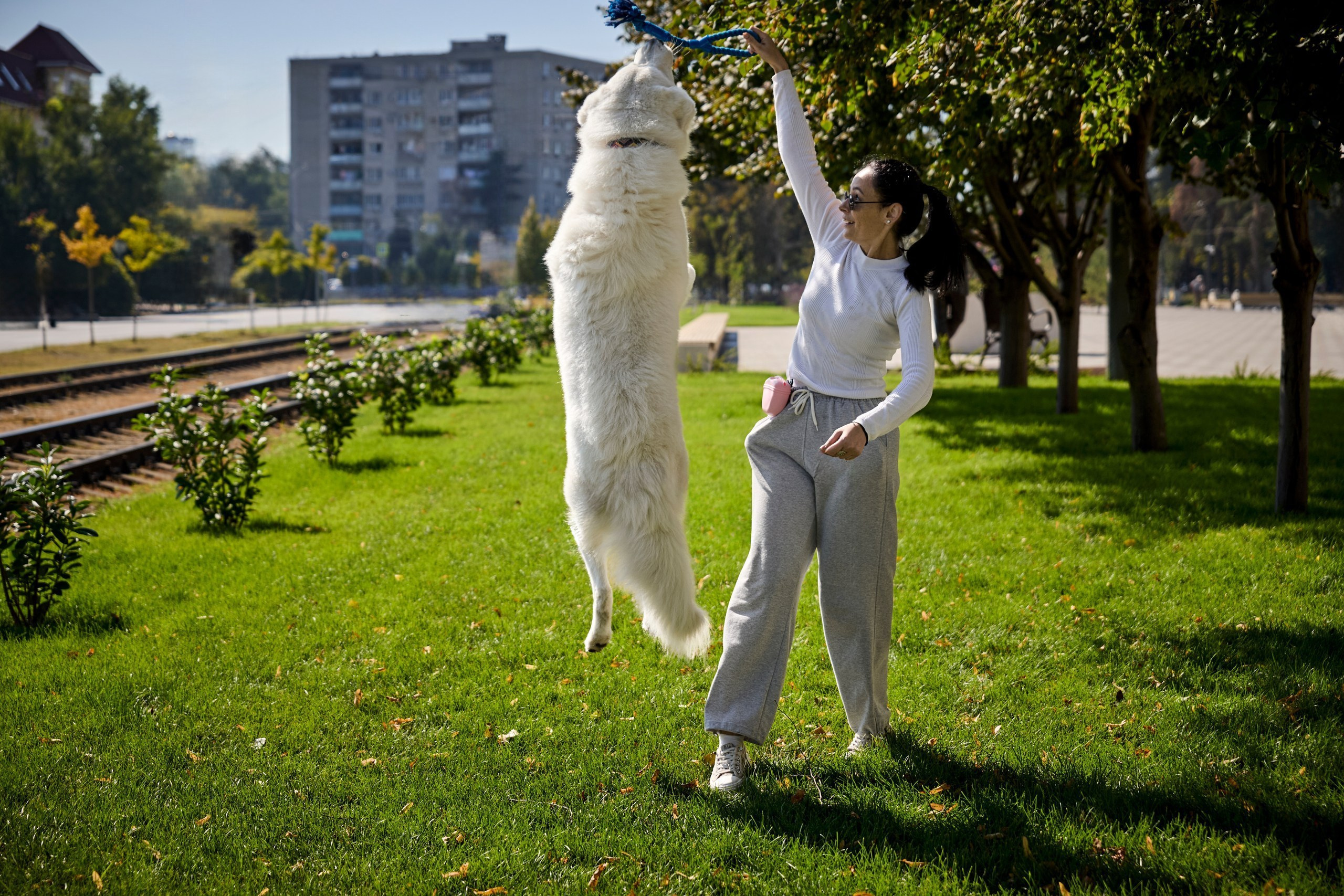 Фотосъёмка прыгающей собаки