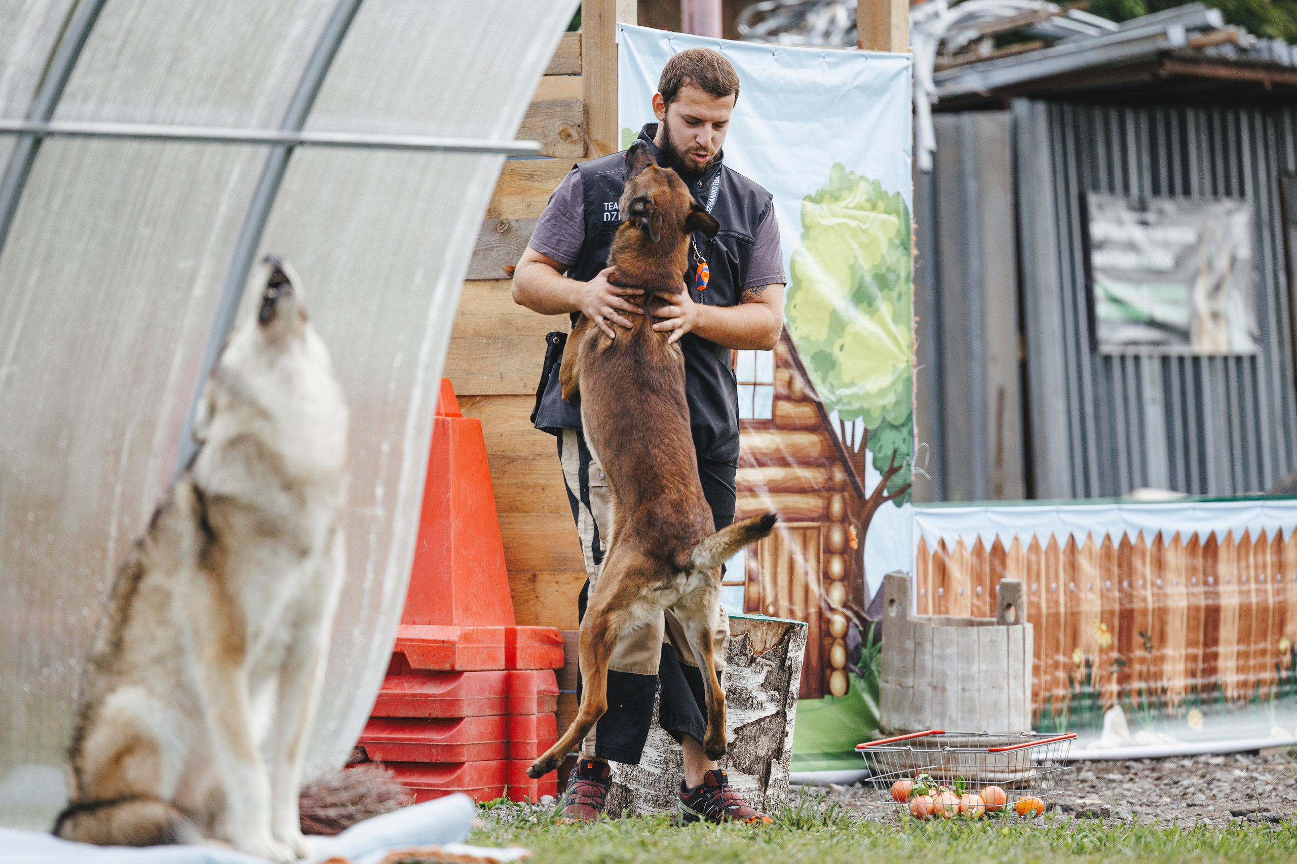 08.08.25-10.08.25 ЧР по мондьорингу г. Вологда. Фотограф-анималист Анна Маринич