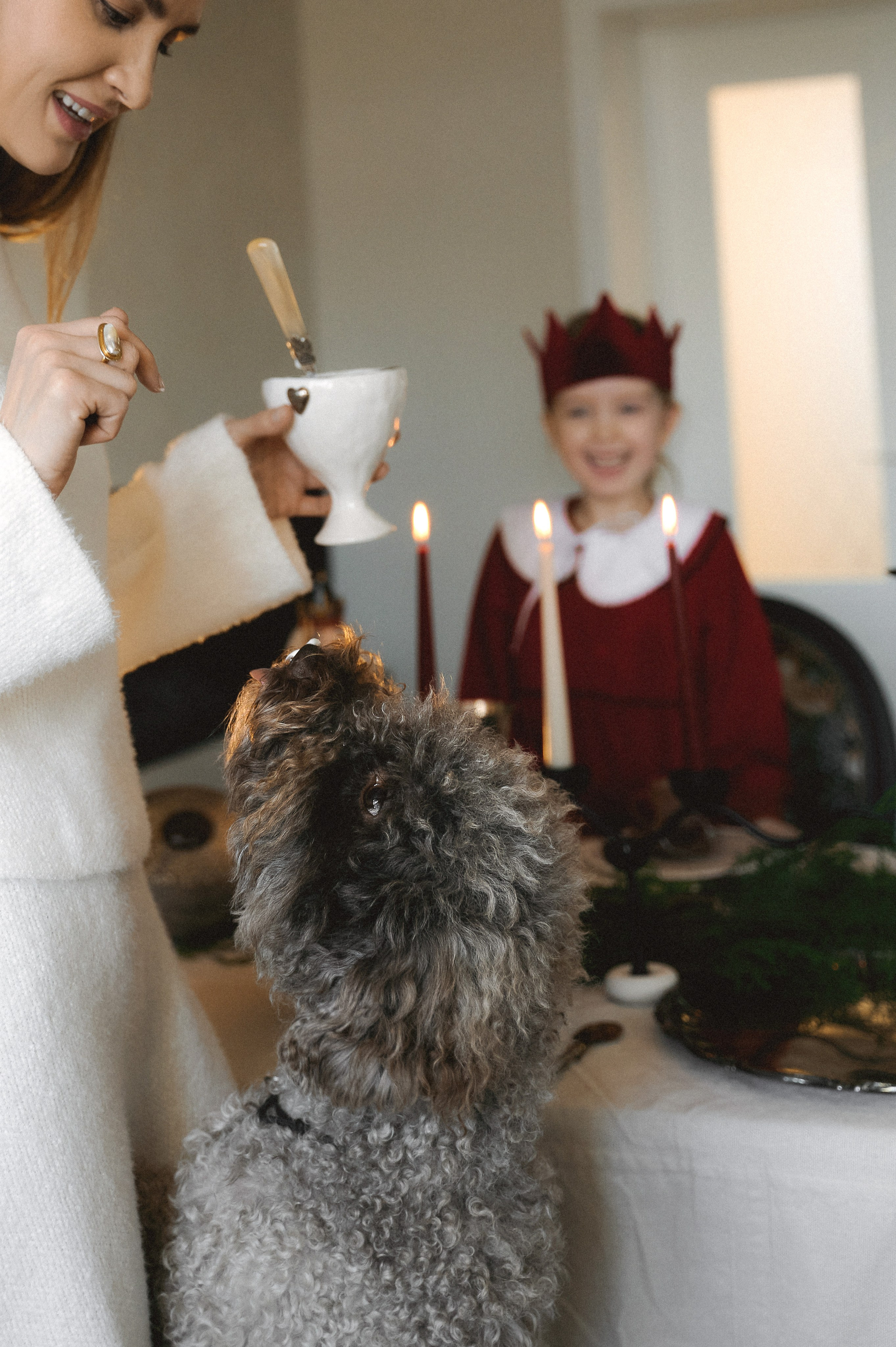 Рождество дома. Фотограф Регина С