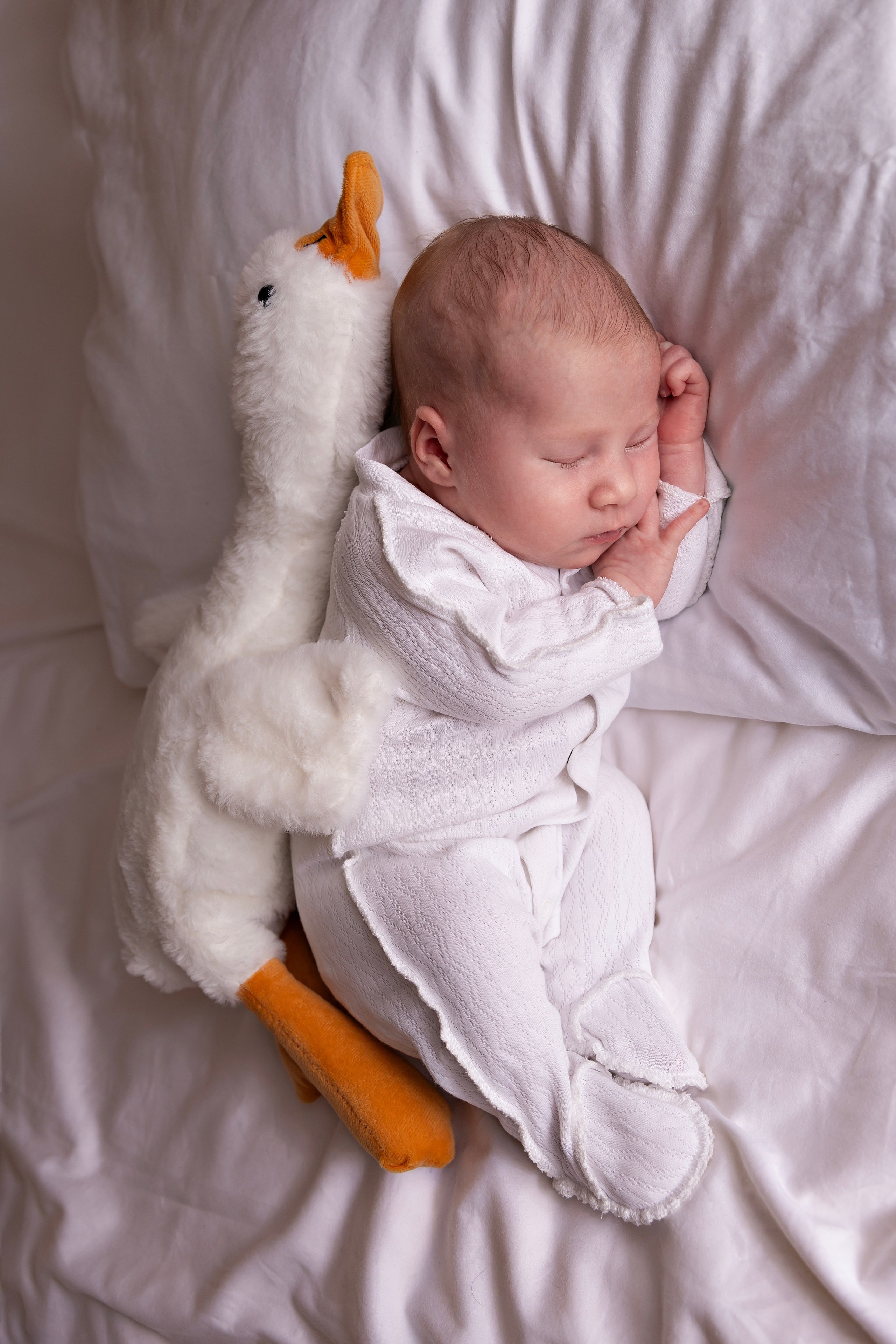 Фотосессия Ульяны. Фотограф новорожденных в Ижевске Анастасия Преснякова