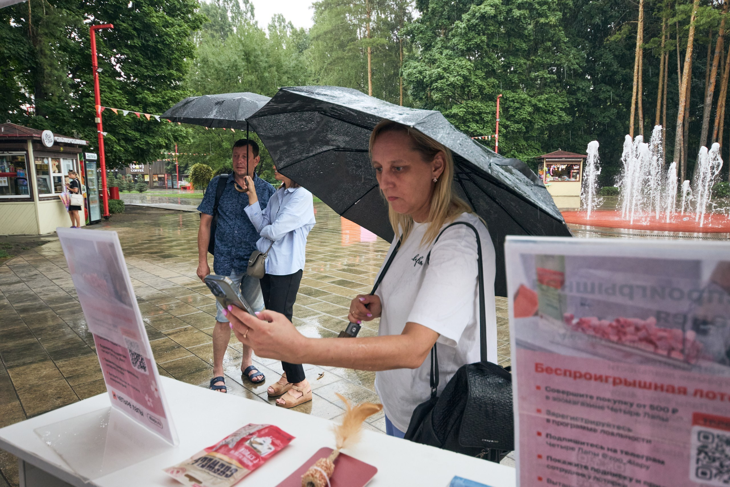 Четыре Лапы. Свадебный и репортажный фотограф Дмитрий Кононенко
