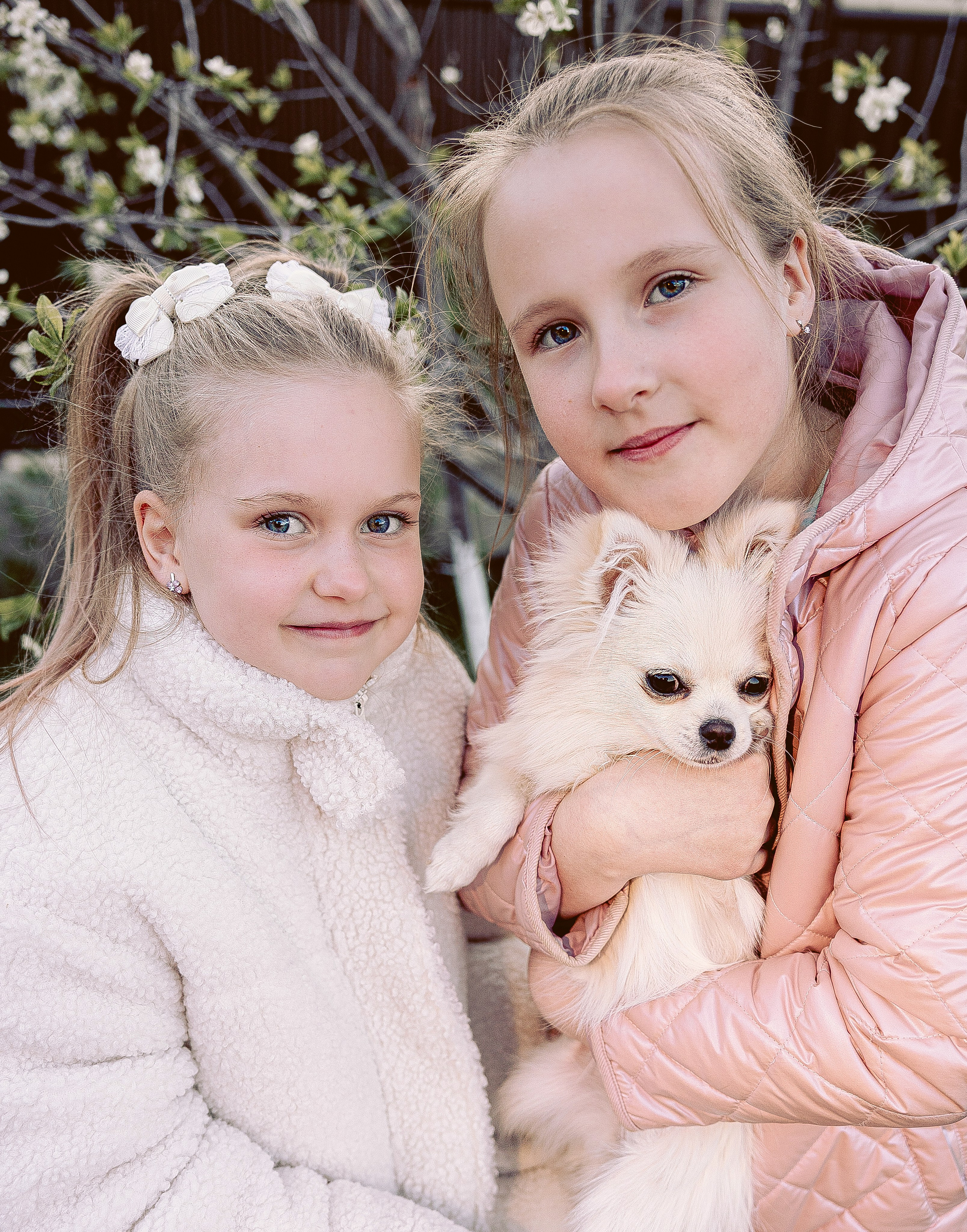 Фотосессия питомцев. Фотограф в Казани Ольга Яшина