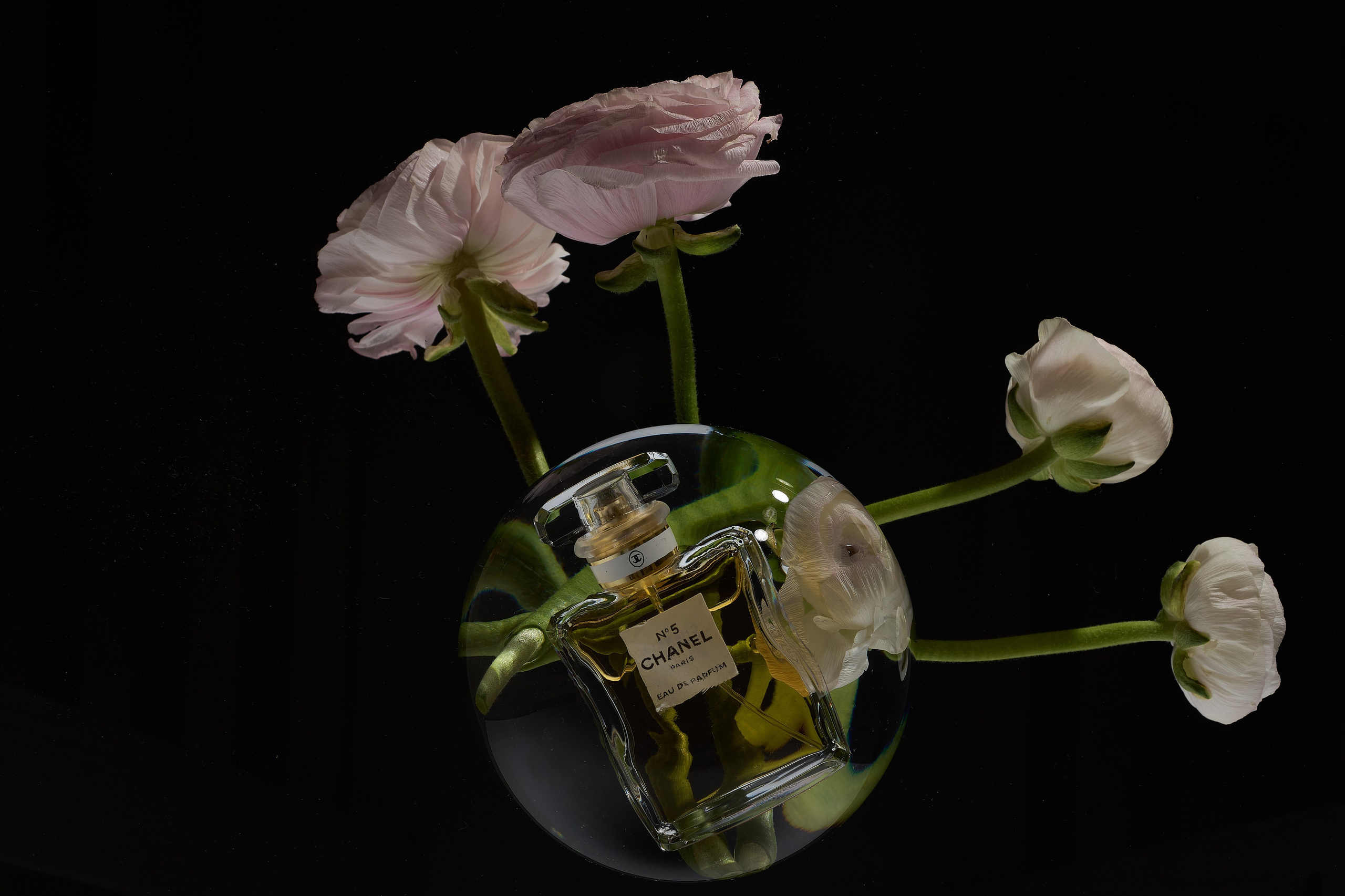 Натюрморты с цветами. Предметный фотограф в Москве Раиса Белова