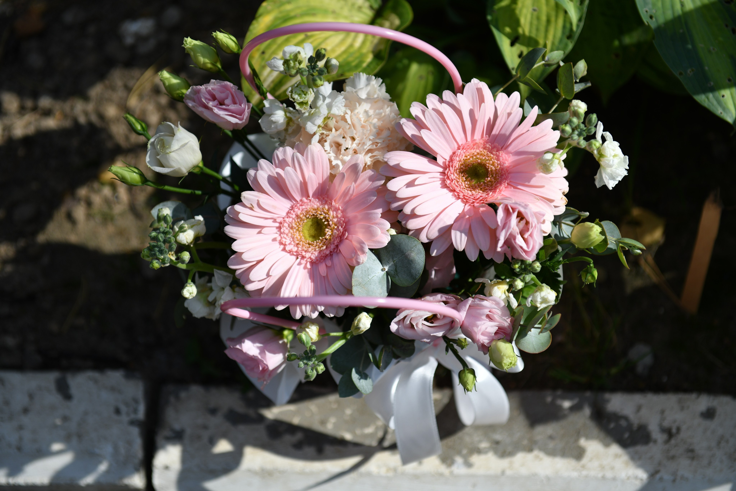 День рождения Есении. Истра. Свадебные съёмки в Москве и МО Галина Борисова