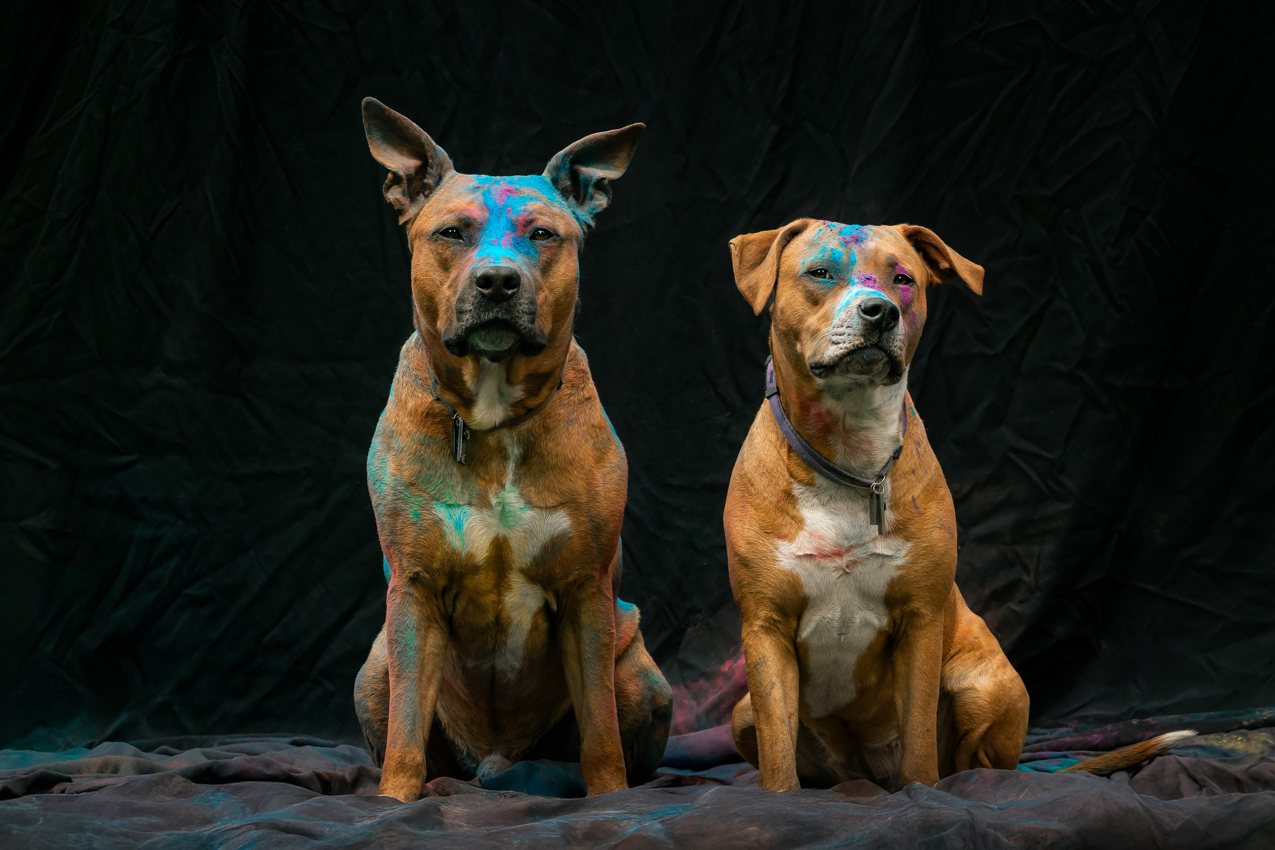 Батлер и Кэти