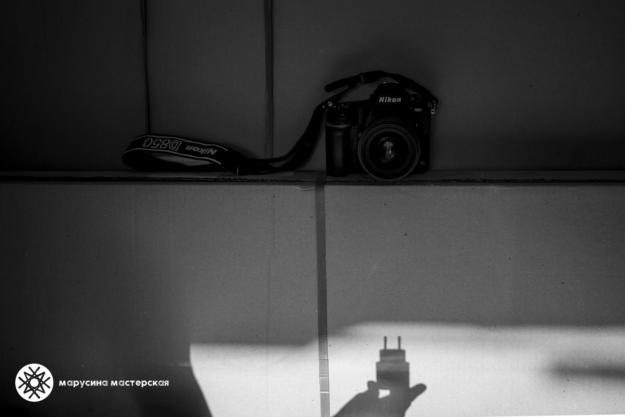 фотография с практикума по композиции в фотографии, автор Юля Цыркунова