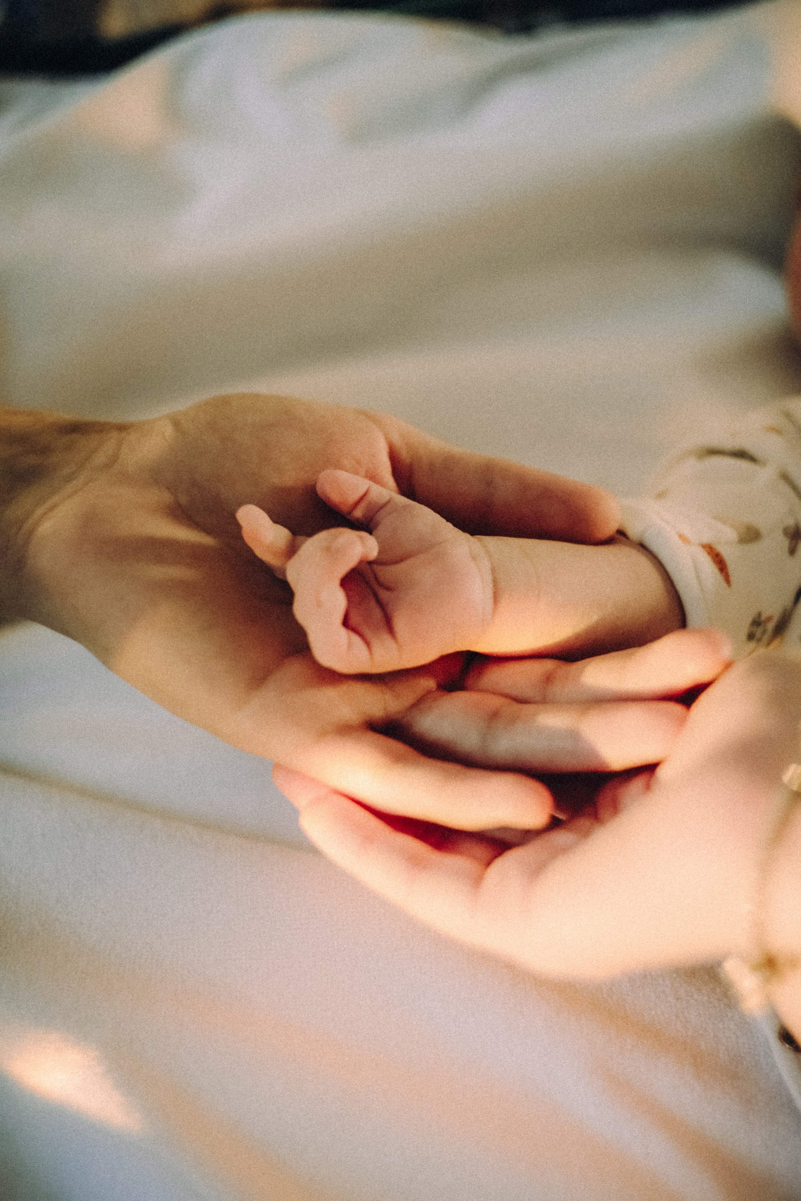 Портреты. Ph___tina