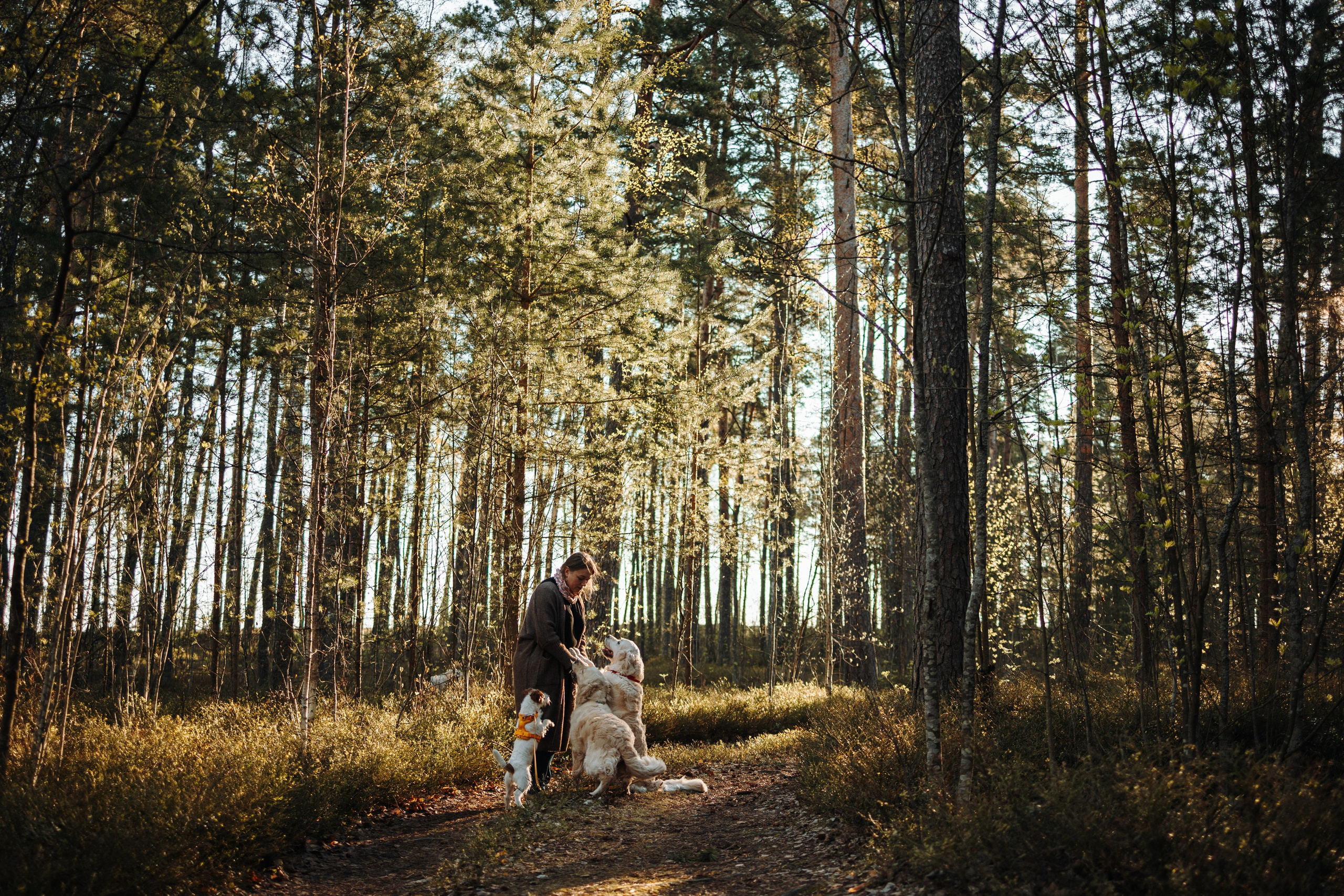 Катя и ее девочки. Фотограф — Анималист | Санкт-Петербург