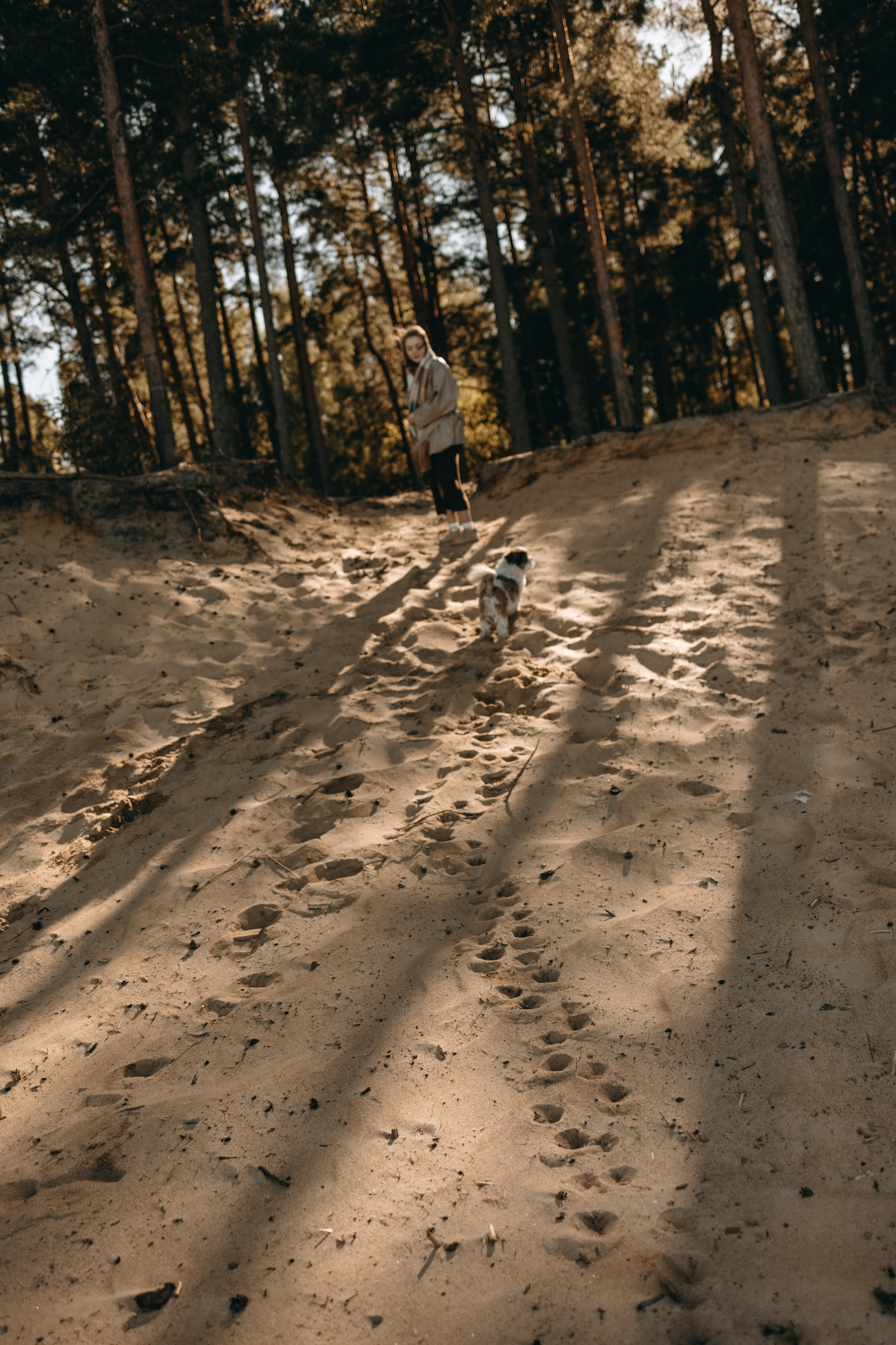 Настя и Франт. Фотограф — Анималист | Санкт-Петербург