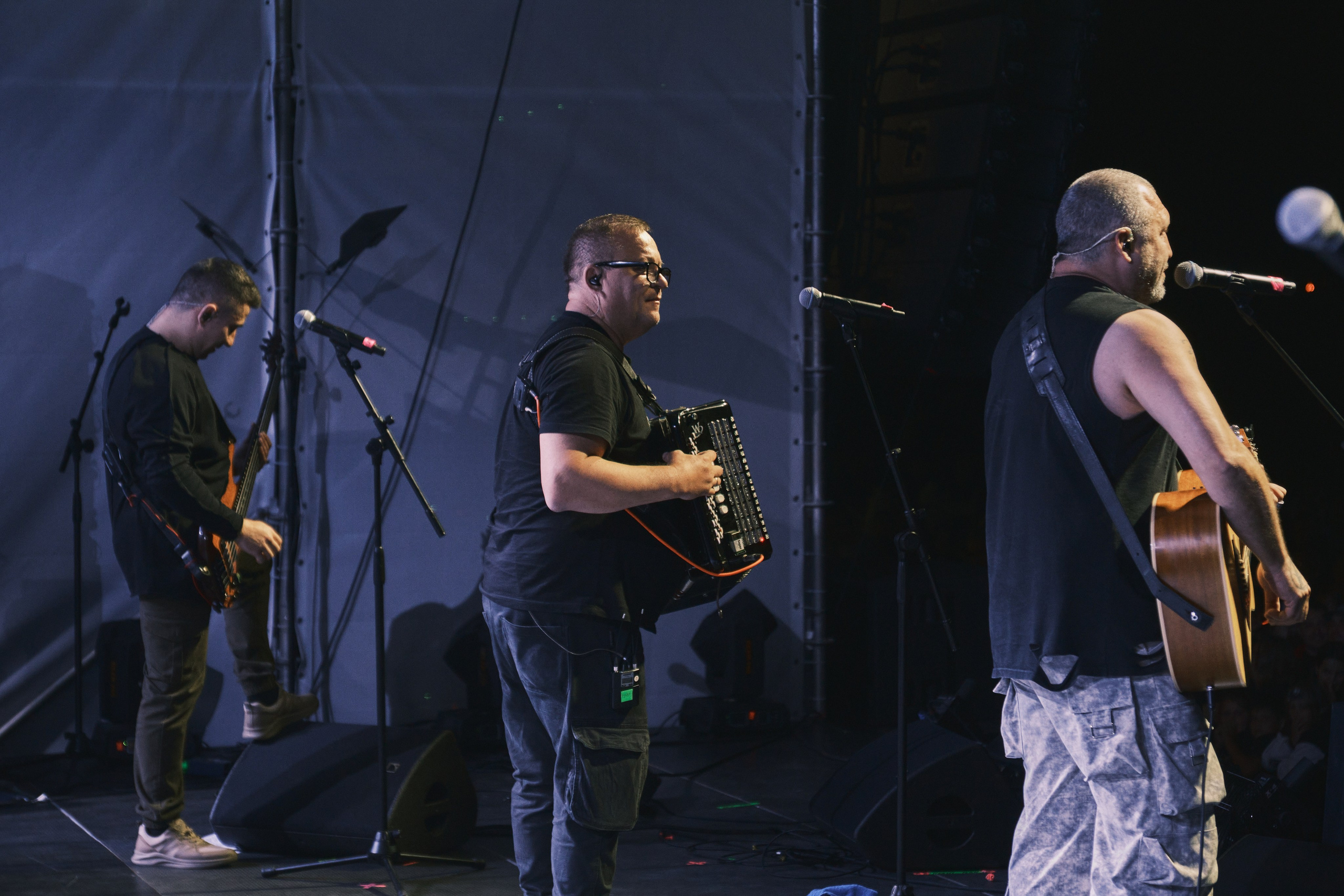 «АнимациЯ»