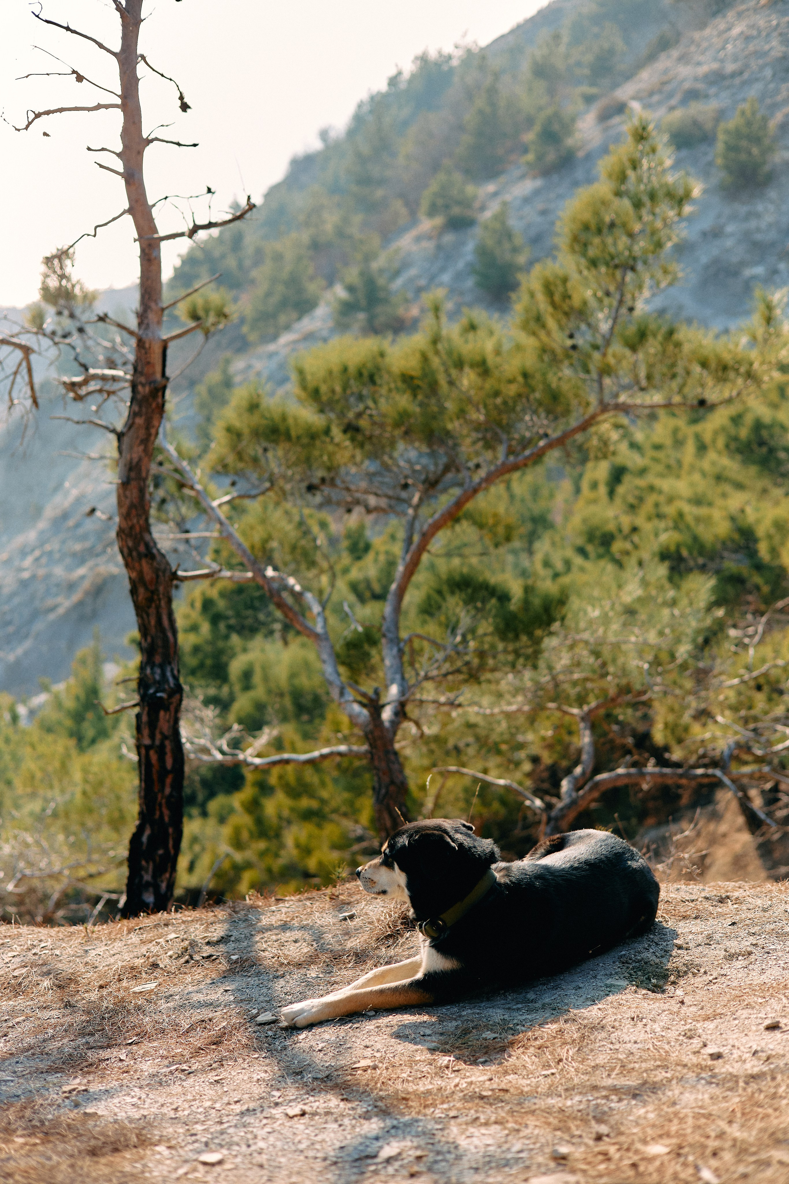 Юг России. Профессиональный Фотограф во Владимире, в Москве и в Суздале — Полина Романычева