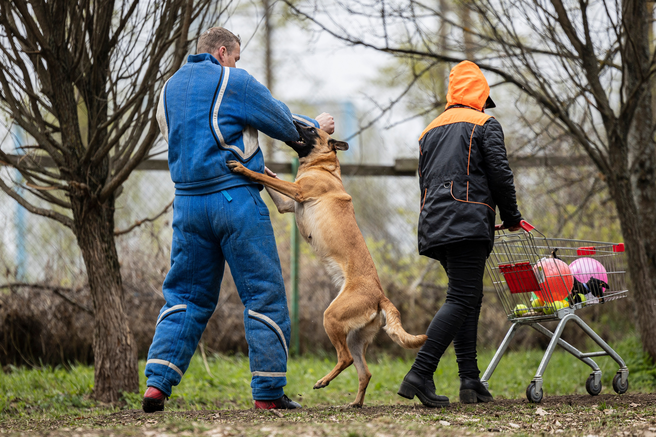 Квалификационные состязания по мондьорингу г. Вологда 11.05.24. Фотограф-анималист Анна Маринич