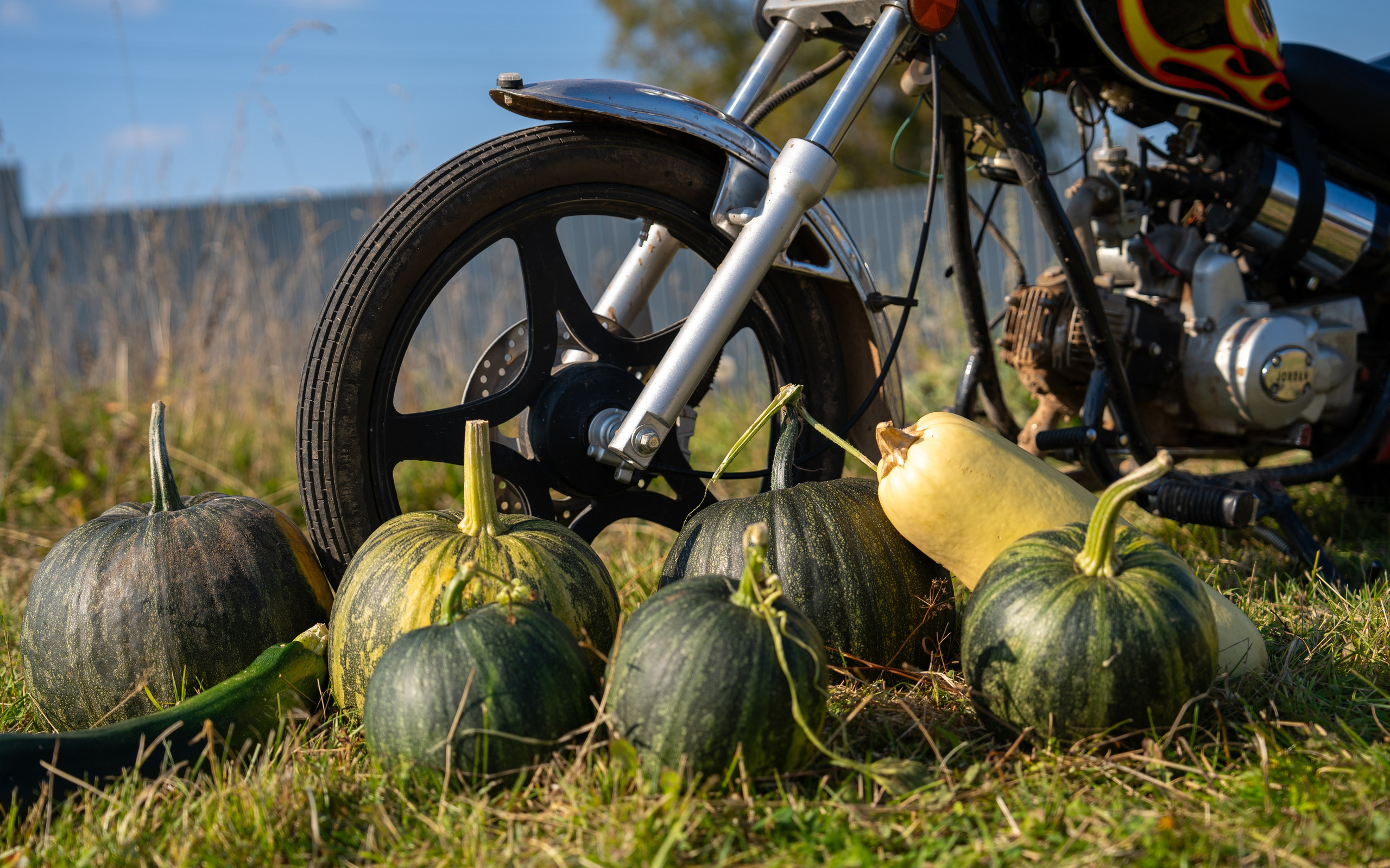 Ярмарка. Фотограф Наталья Сорока Ижевск