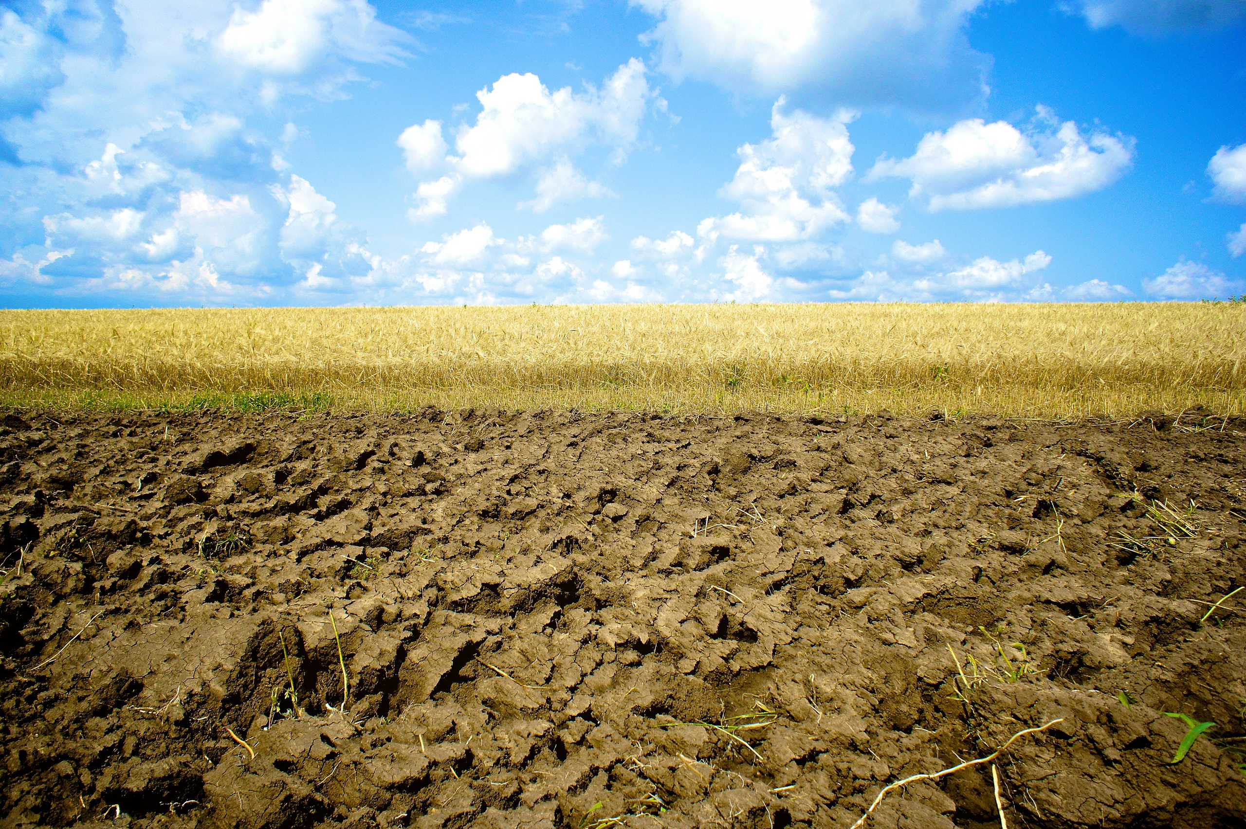 Авторская фотография фотографа Бориса Флорина