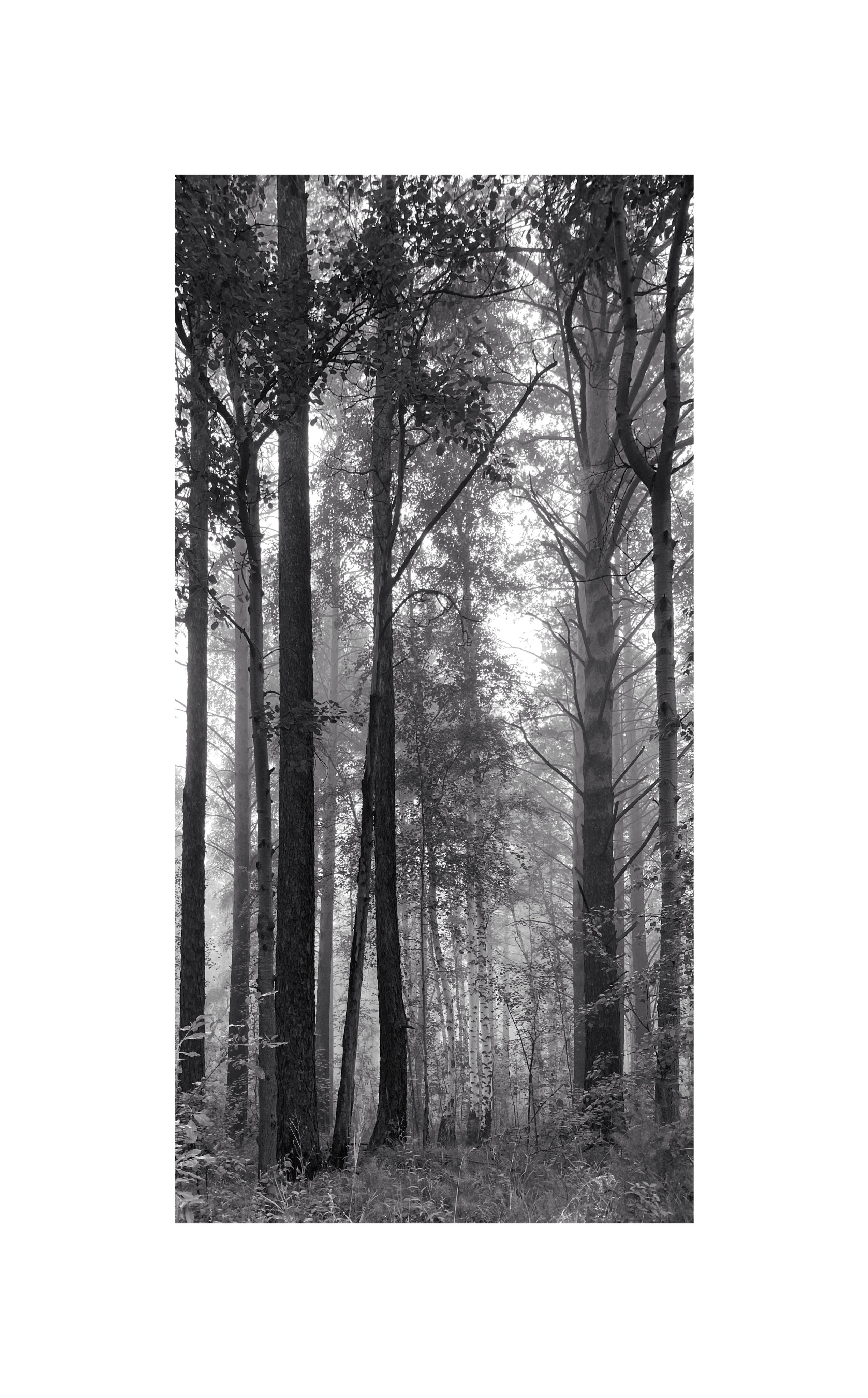 2023. Тащилин Сергей. Фотографии. Жизнь. Хобби