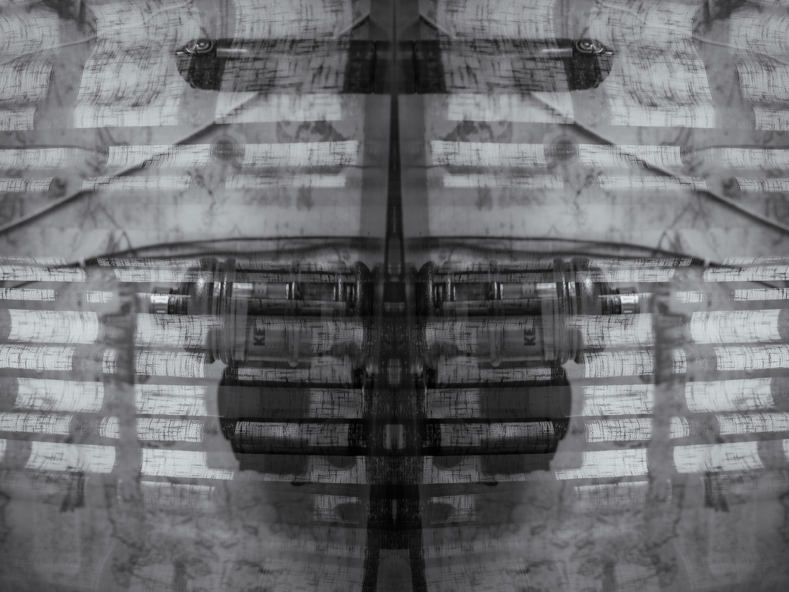 Urban flowers. Арт — фотограф Евгений Наймушин Новокузнецк