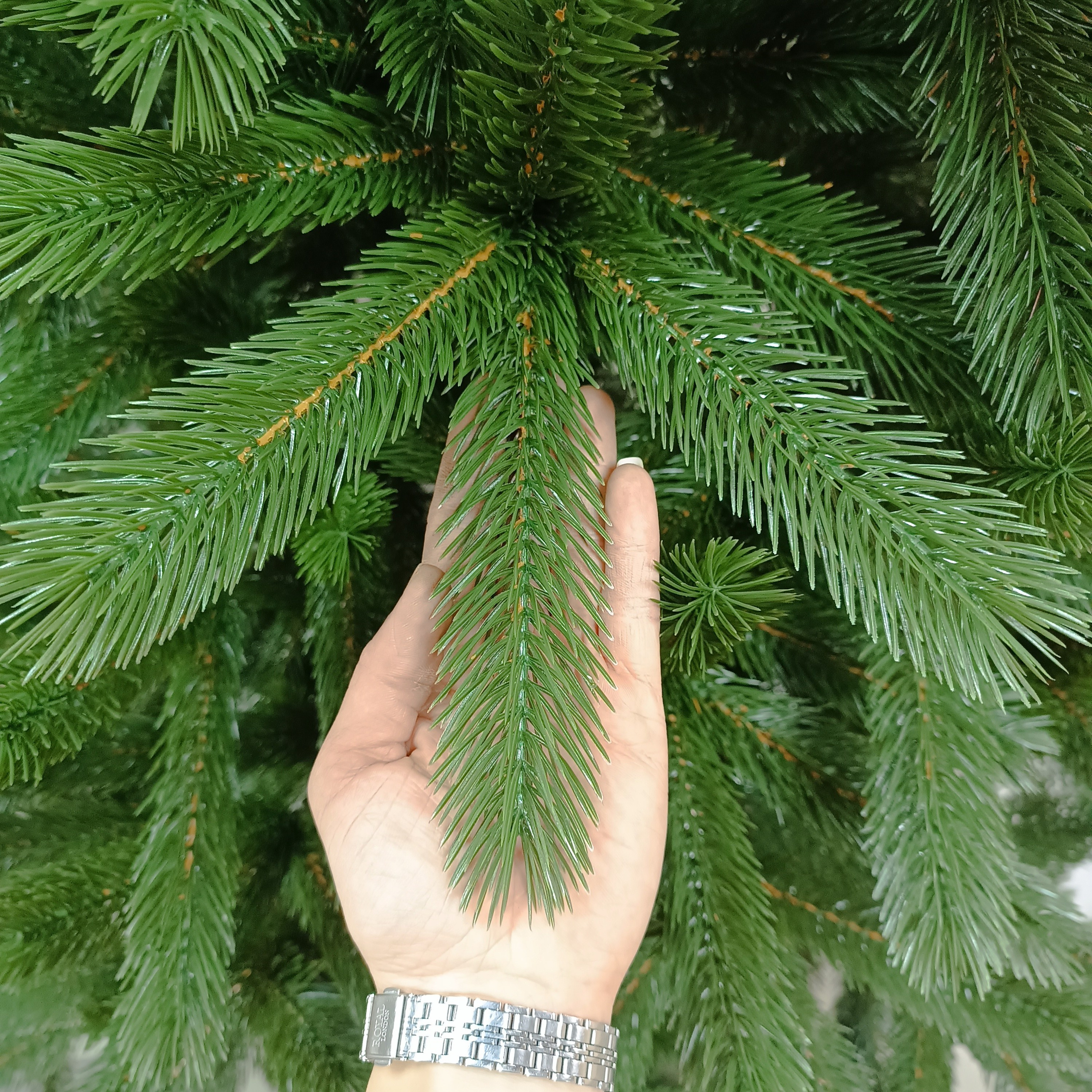 ЛЕОНА. Elki_grodno