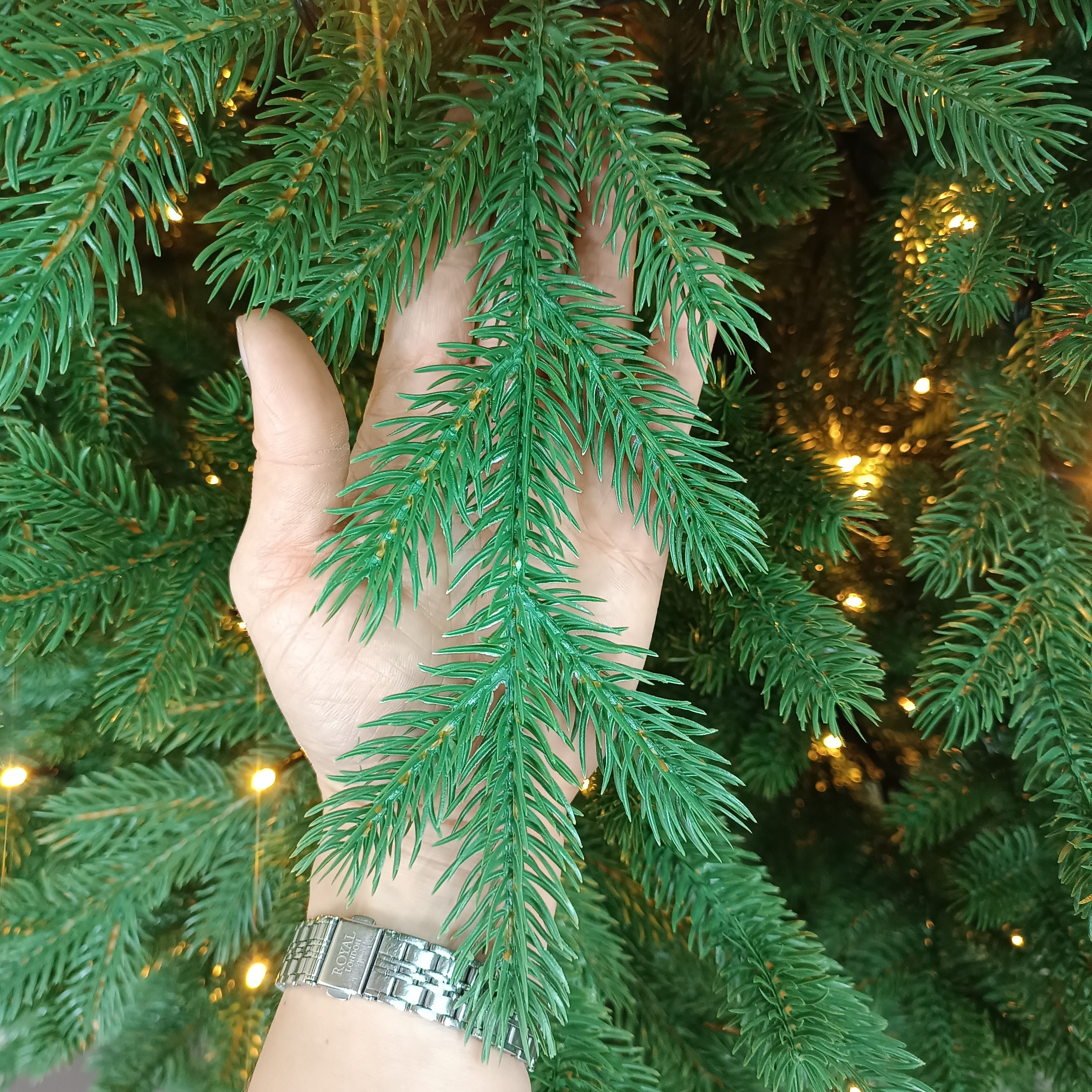 ВЕРСАЛЬСКАЯ с огоньками. Elki_grodno