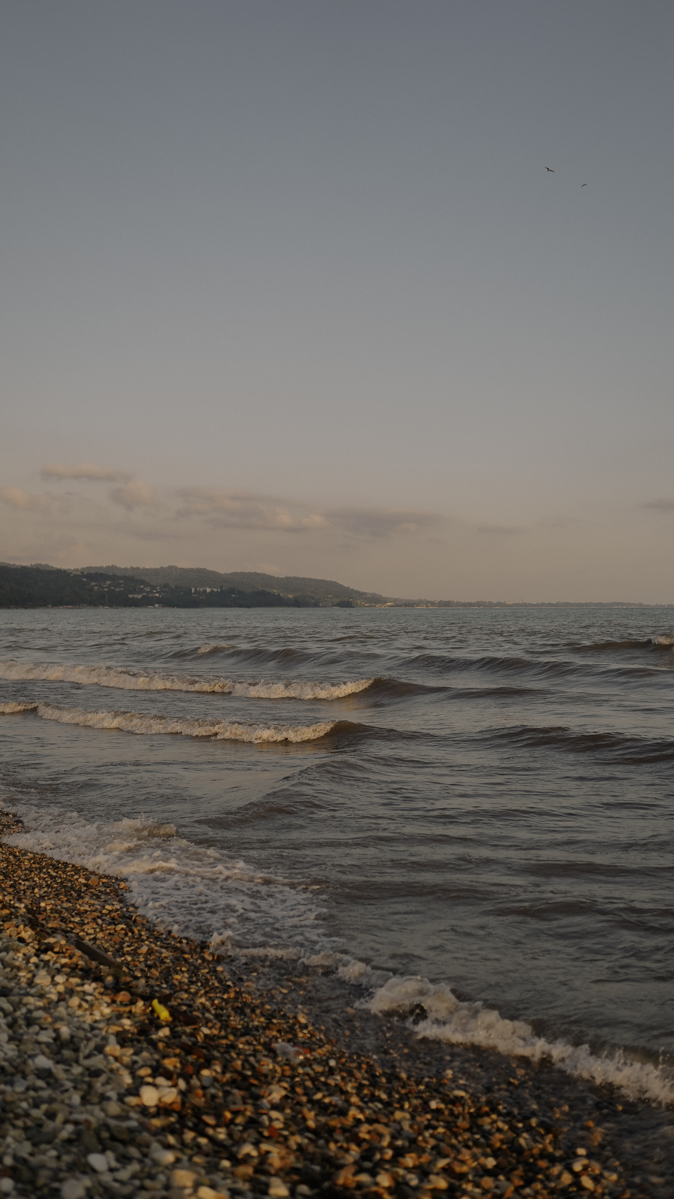 Леся и Гоша. Милана Довгаль - семейный фотограф и видеограф  в Адлере и Сочи