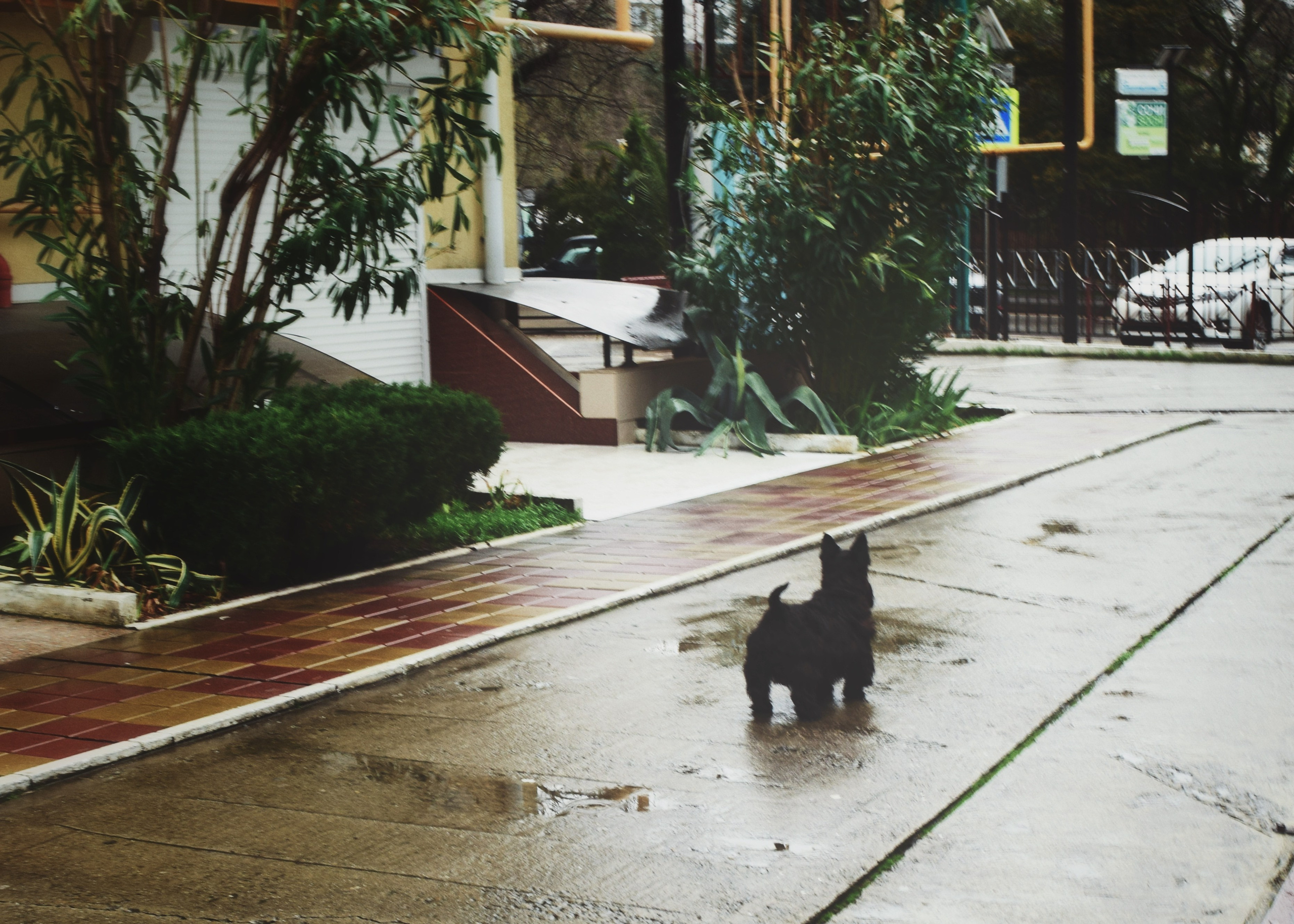 Мир вокруг. Фотограф • Елена Миронова