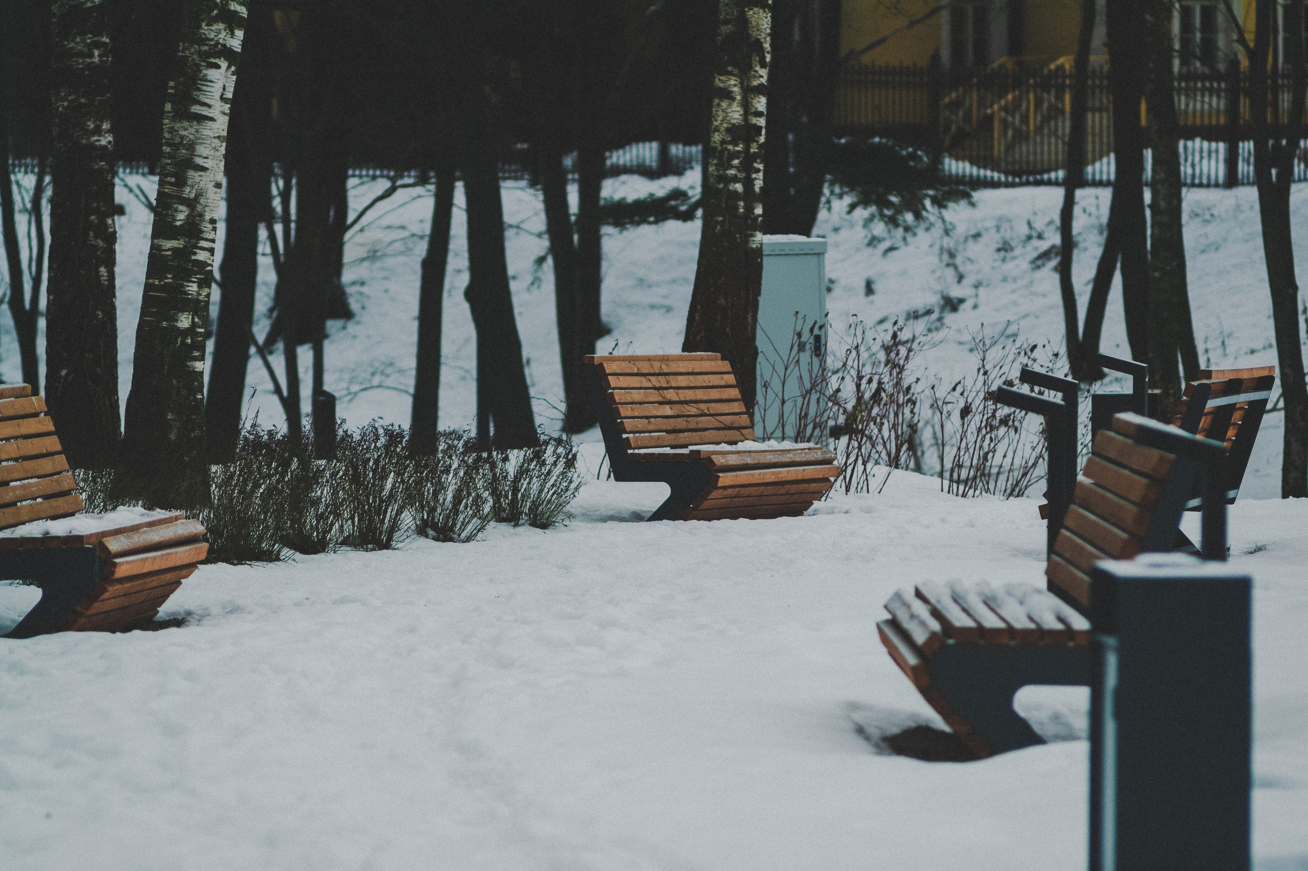 Colleague. Den Mirov — Photographer, Musician