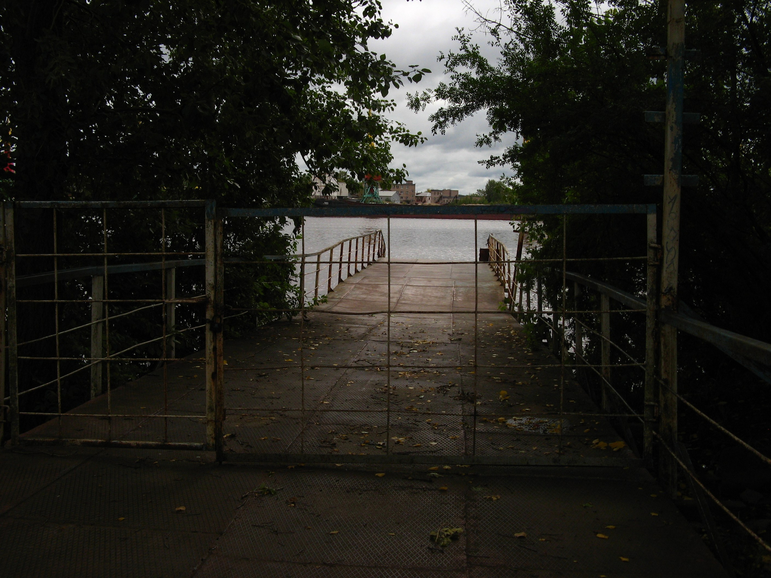 Сентябрь 2025. Den Mirov — Фотограф, Музыкант