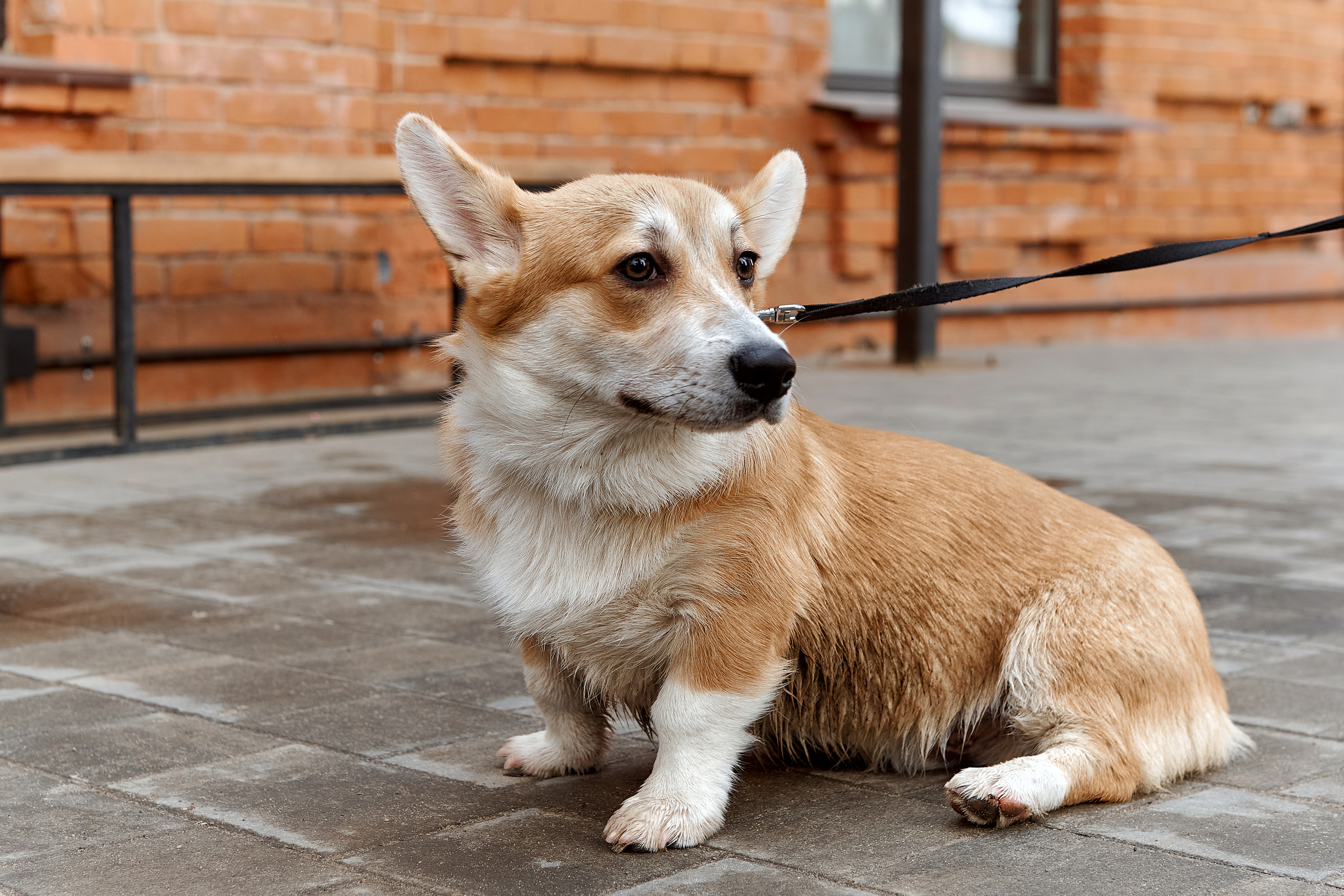 Семейная фотосессия. Фотограф в Воронеже Тазаева Светлана