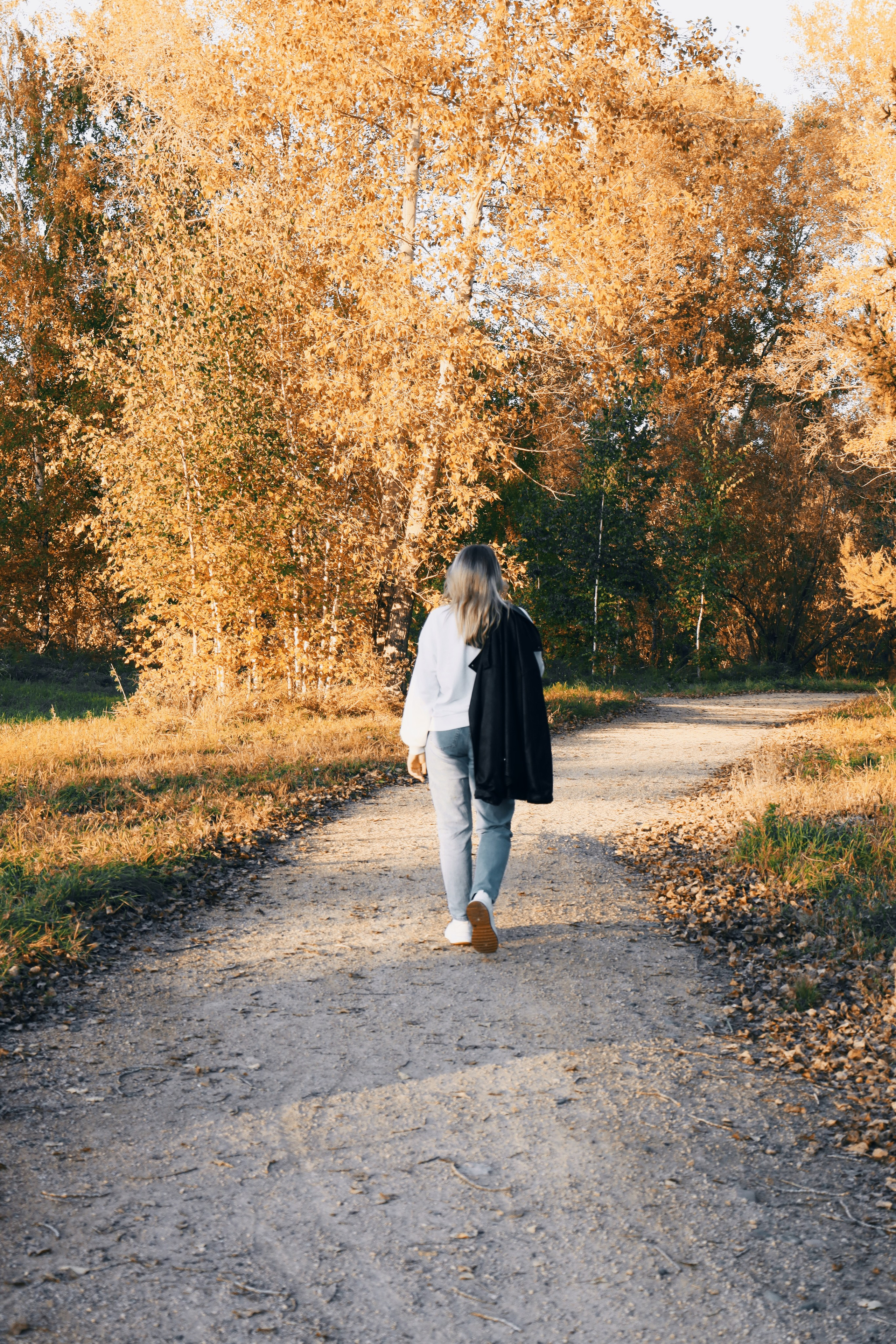 Времена года