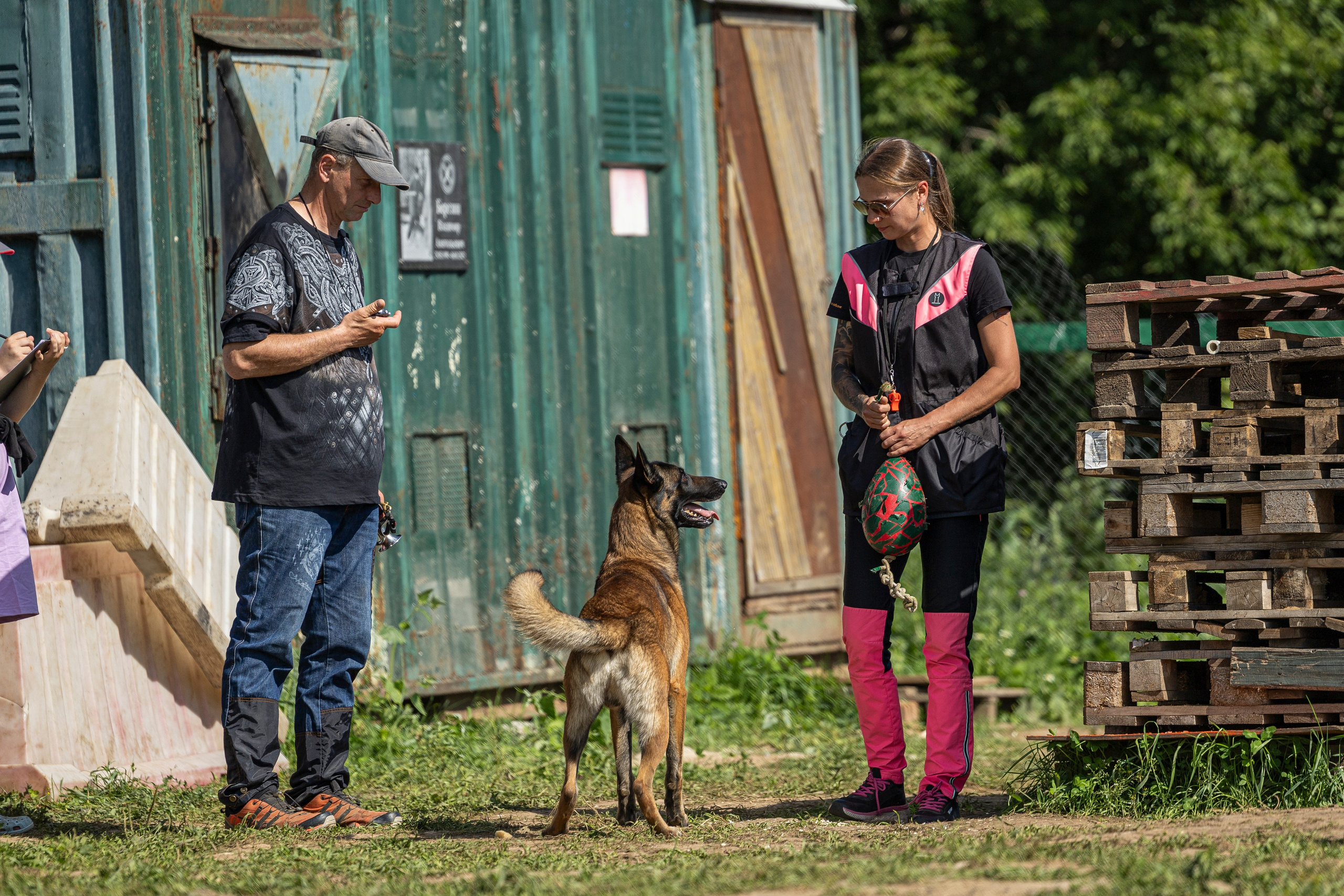 Соревнования по Мондьорингу г. Вологда 10-11.08.2024. Фотограф-анималист Анна Маринич