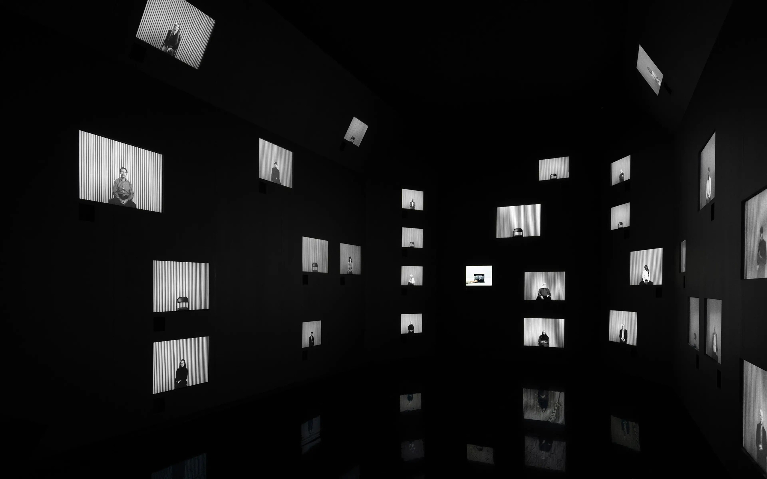 Теория фотографии: проблемы и концепты. Самоорганизация Низина