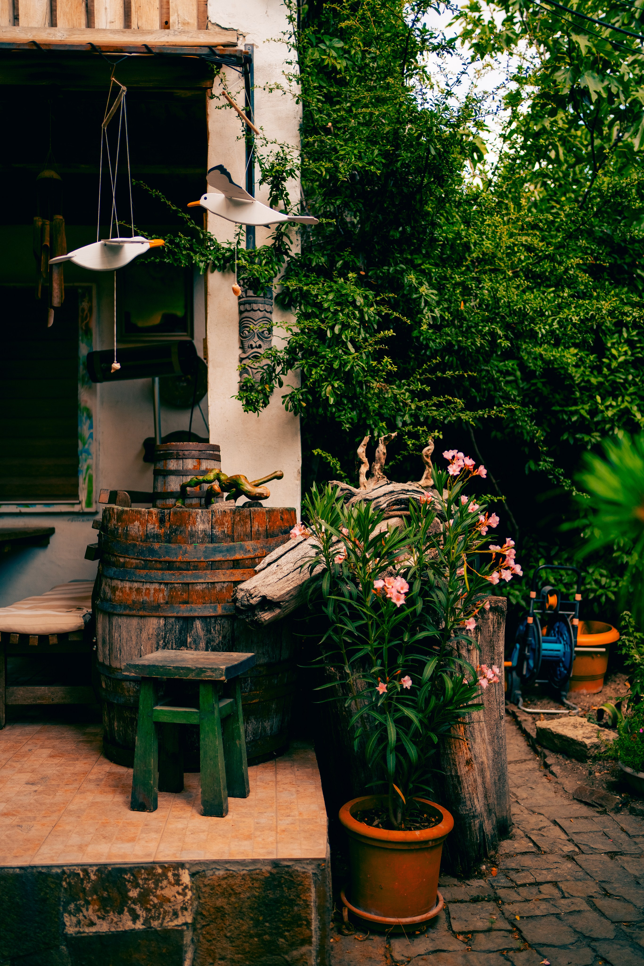 Саида. Фотограф в Москве и МО Влада Обласова