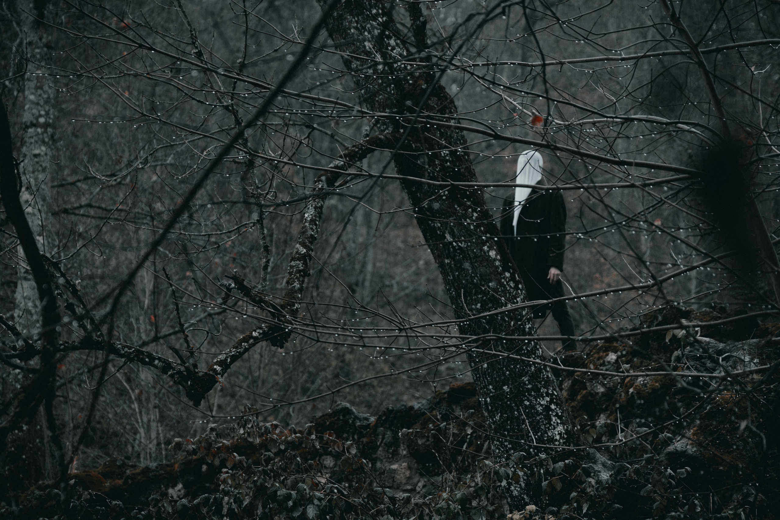 IVAN MESHCHERYAKOV. Фотограф