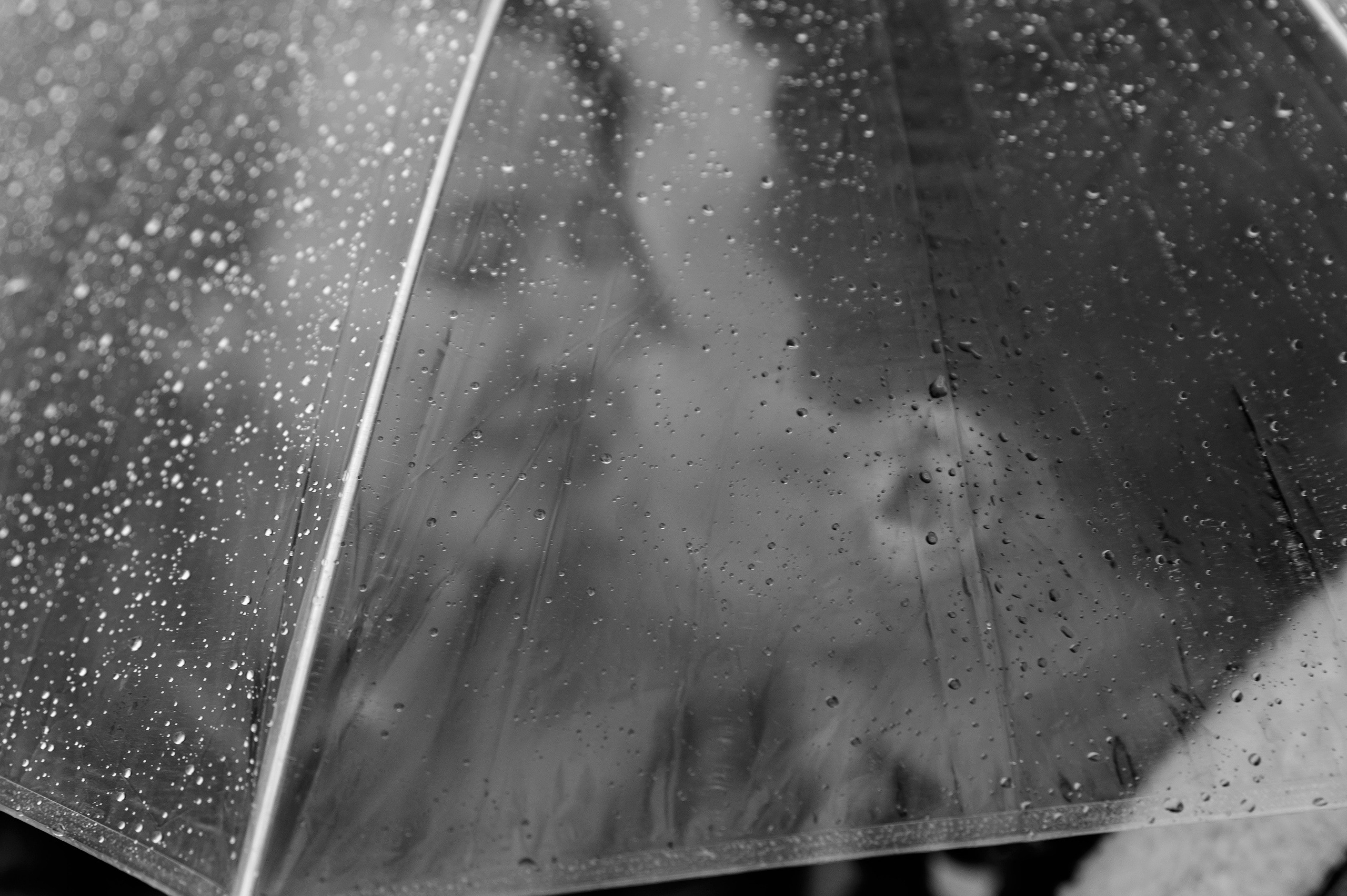 Илья и Полина. Семейный и свадебный фотограф в Новосибирске Мария Гоппе (Харина)