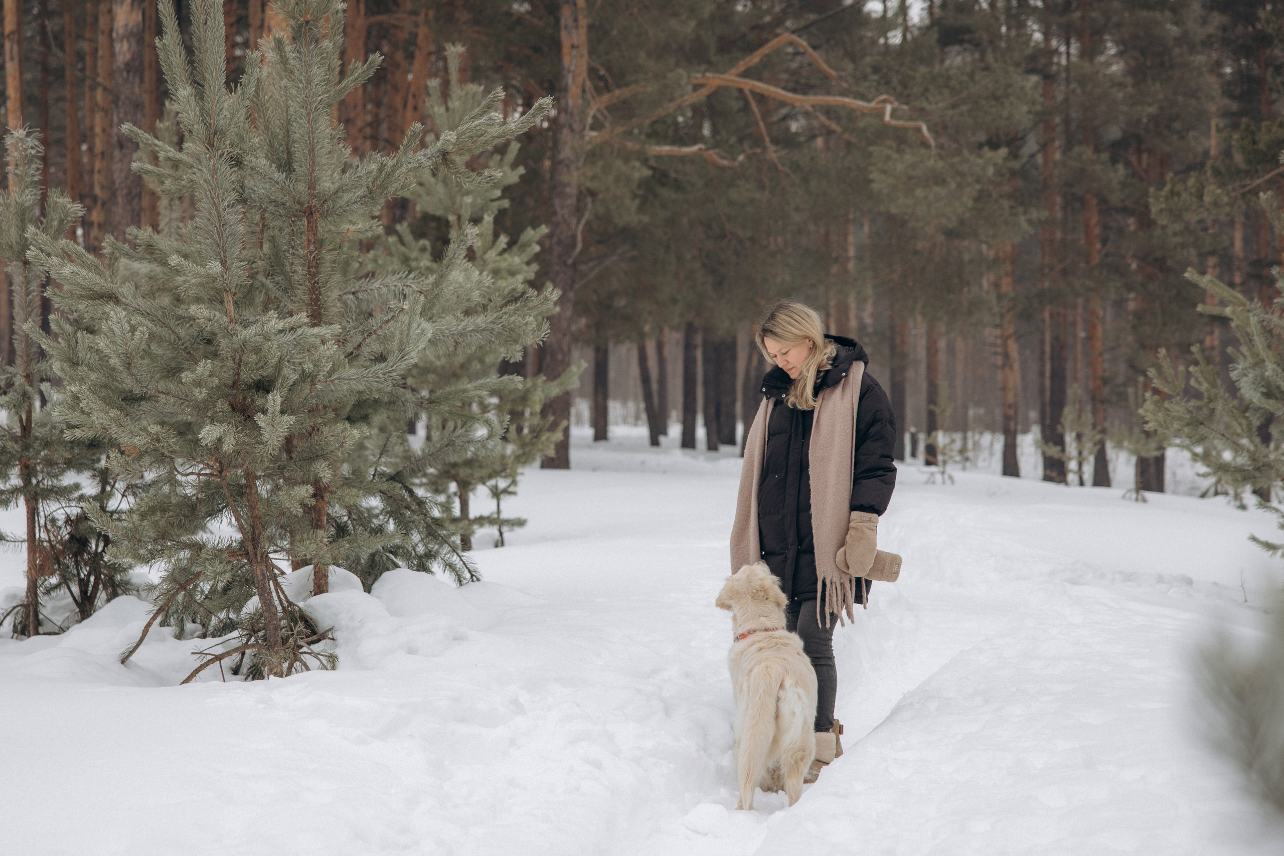 Зима. Лес. Татьяна и Делла. Фотограф анималист в Казани Алина Сулейманова. Фотограф животных