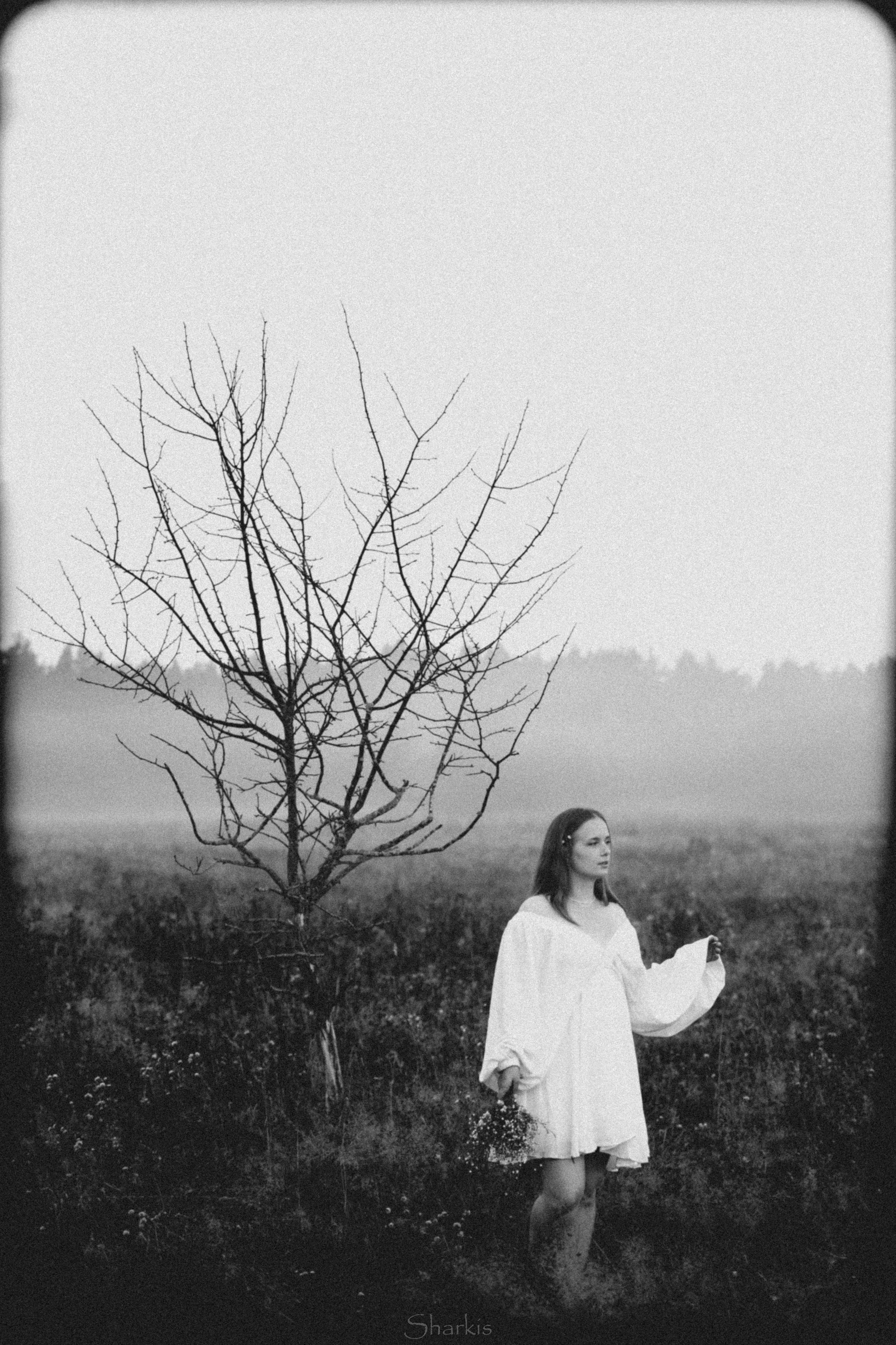 Аня и Гас. Главная