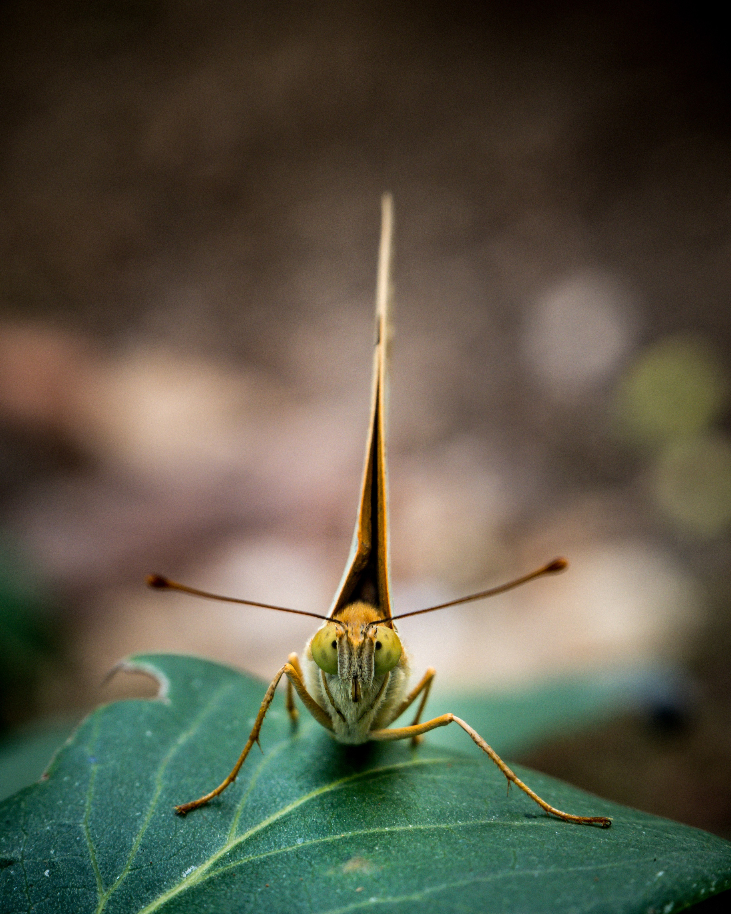 Остальные. Oles Paritskiy