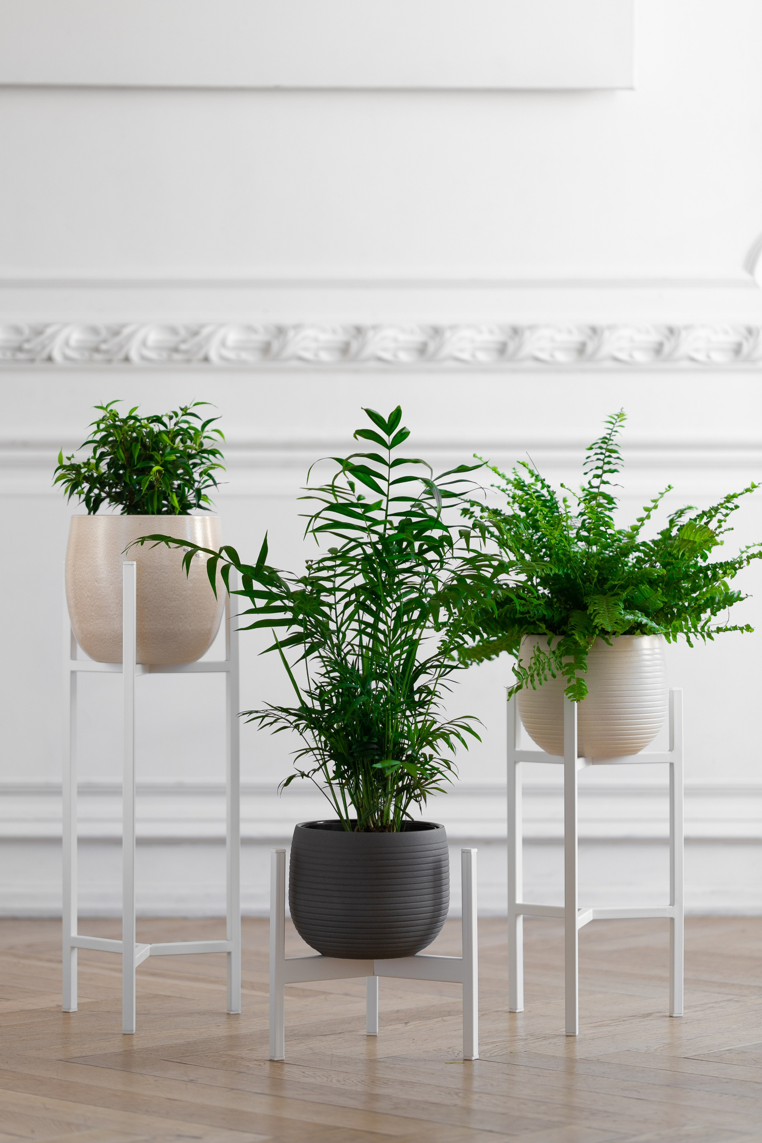 GREENWEEN. Дизайнерская мебель. Интерьерный фотограф и видеограф в Санкт-Петербурге Вадим Балбашевский