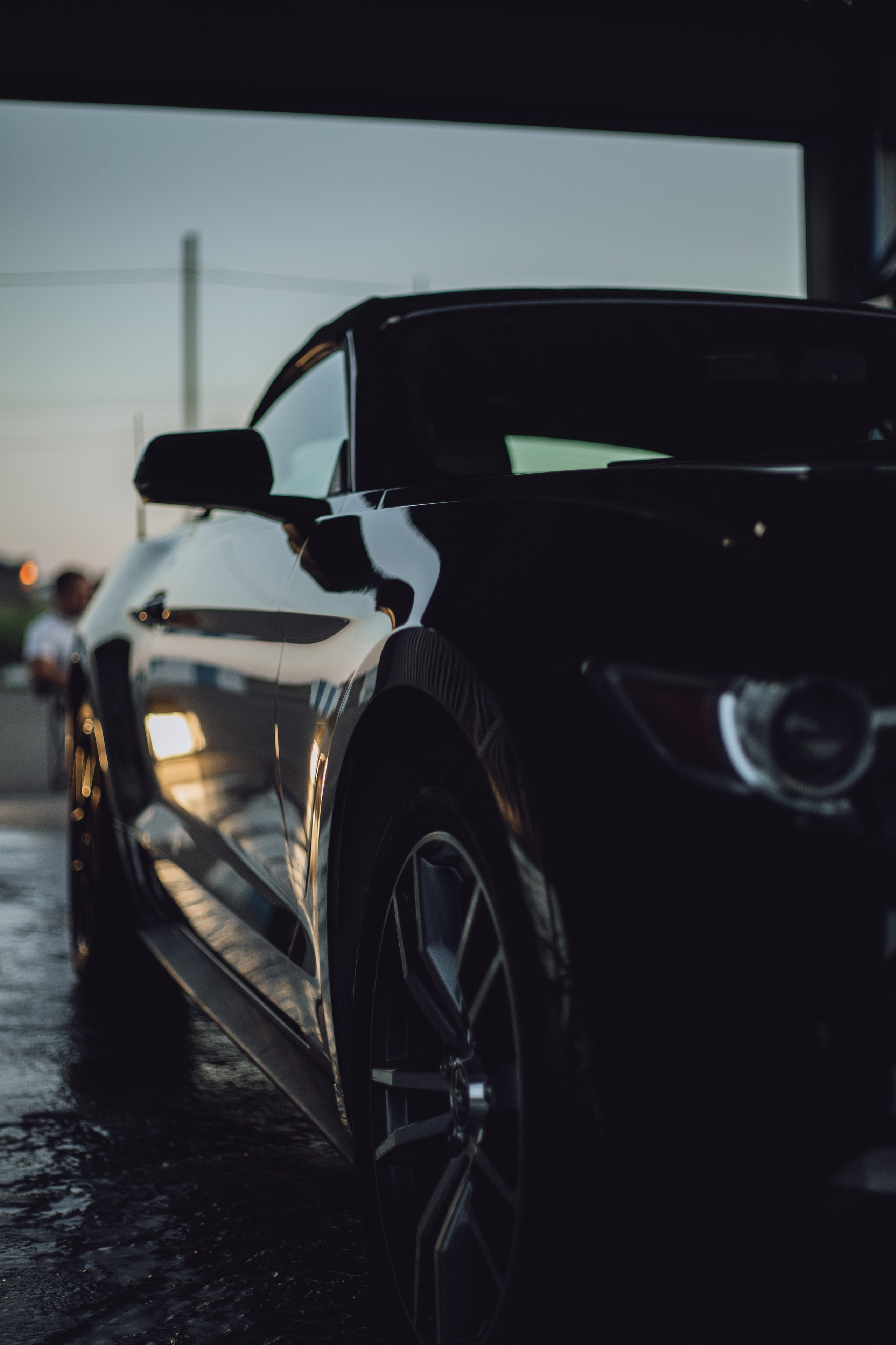 Мустанг. Фотограф Анна Шибанова Ангарск-Иркутск