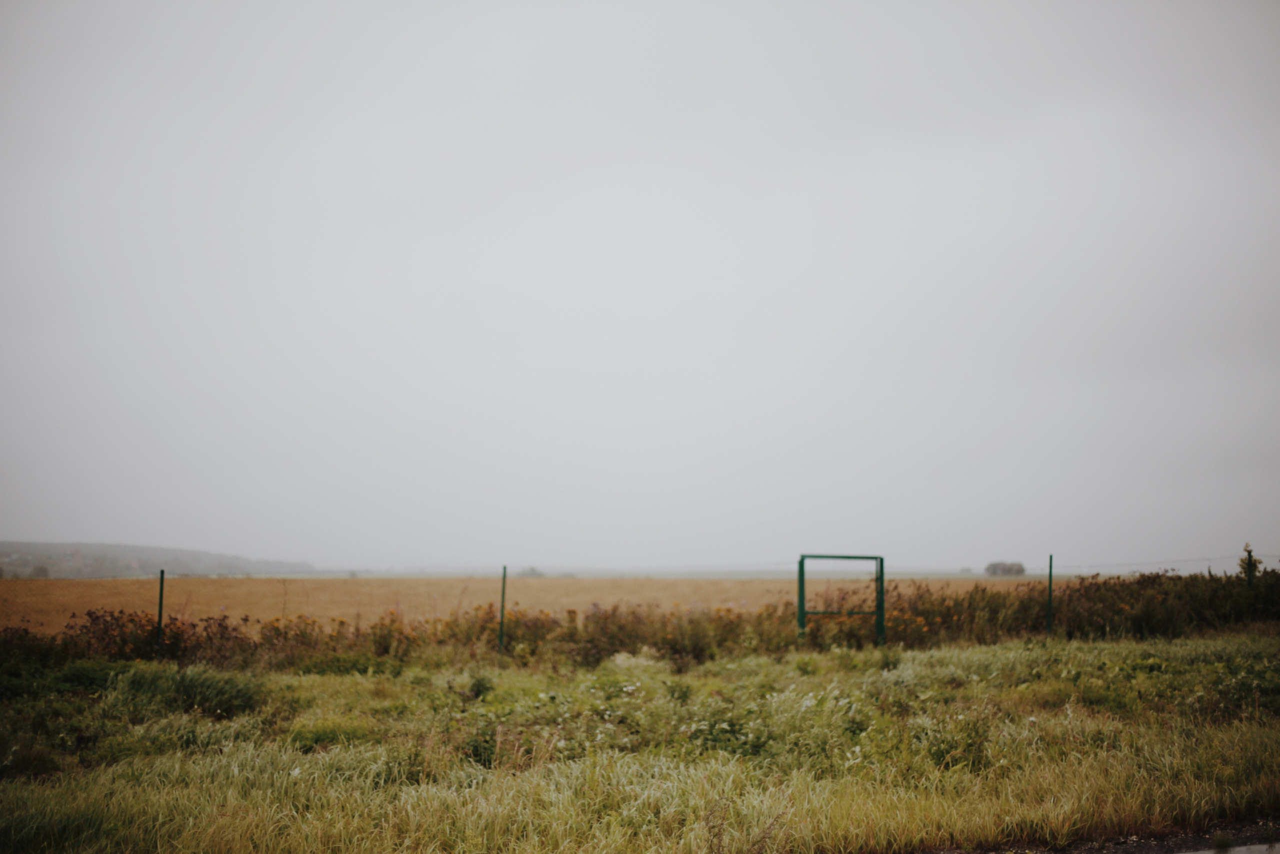 Человек МИРА. Ксения Плотникова