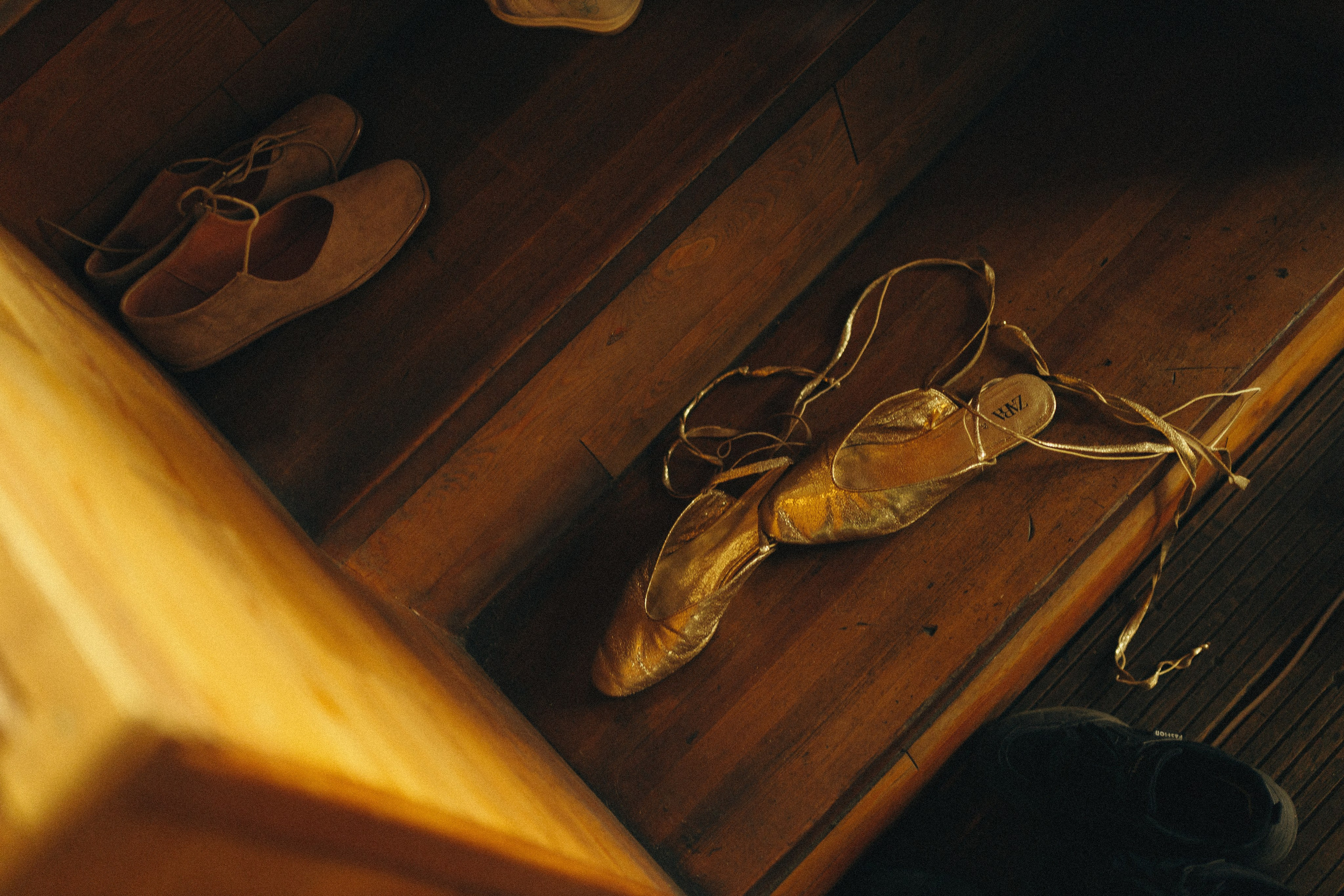 Петергоф. Фотограф Анастасия Платонова | Санкт-Петербург