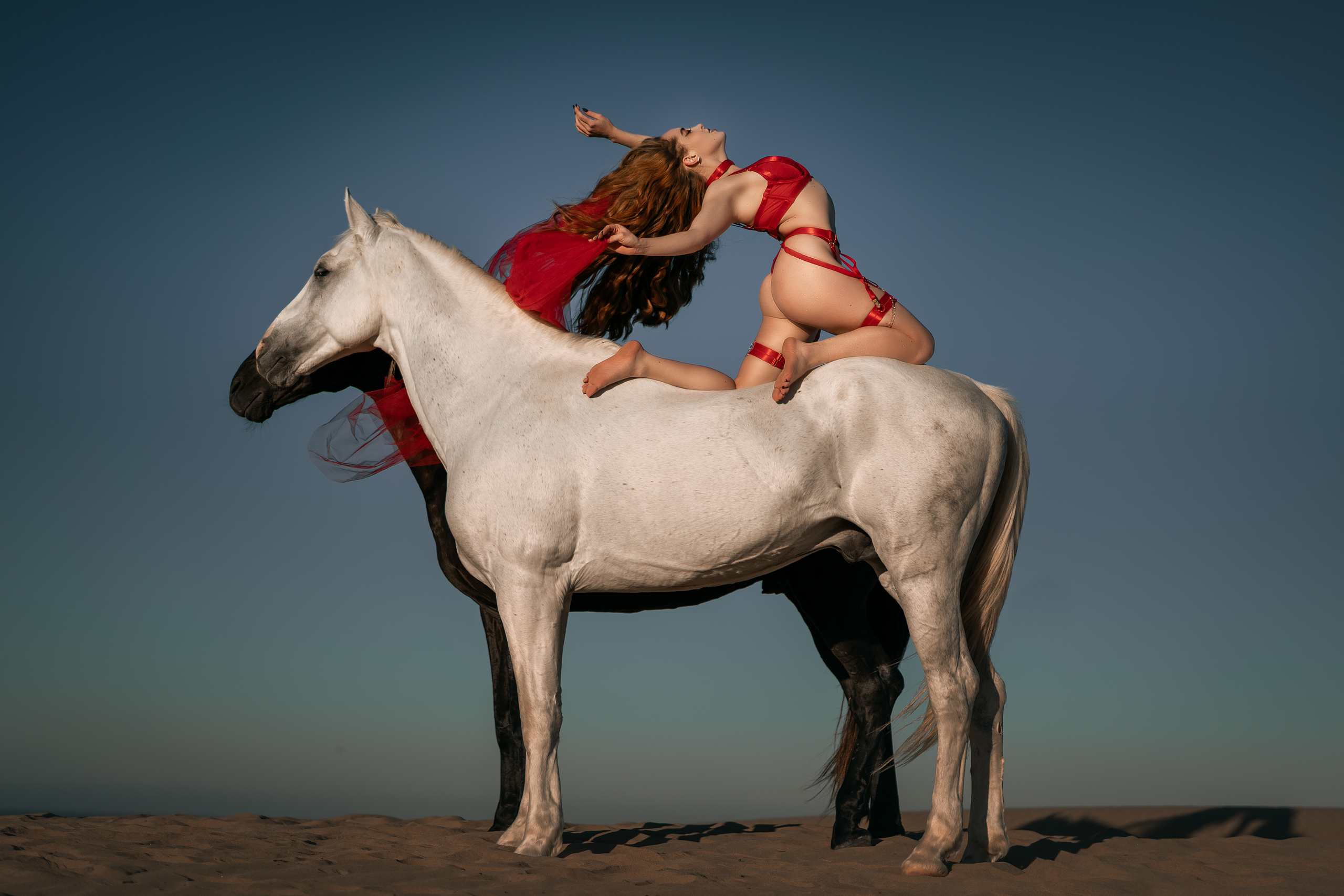 Фотосессии с лошадьми. Фотограф Артемьева Катерина|фотосессии с лошадьми