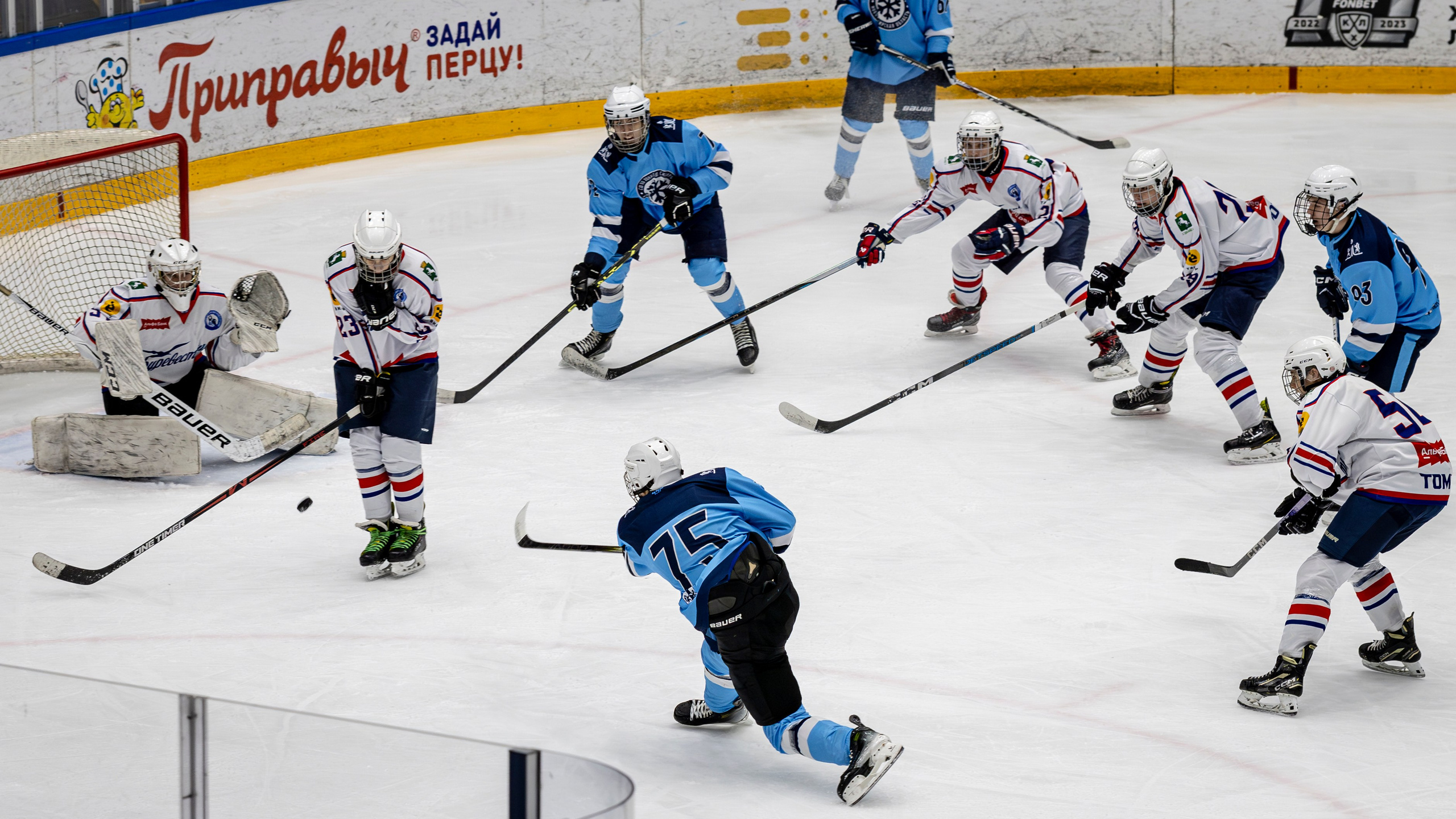 Сибирь (ЮХЛ). Bertran Ordo