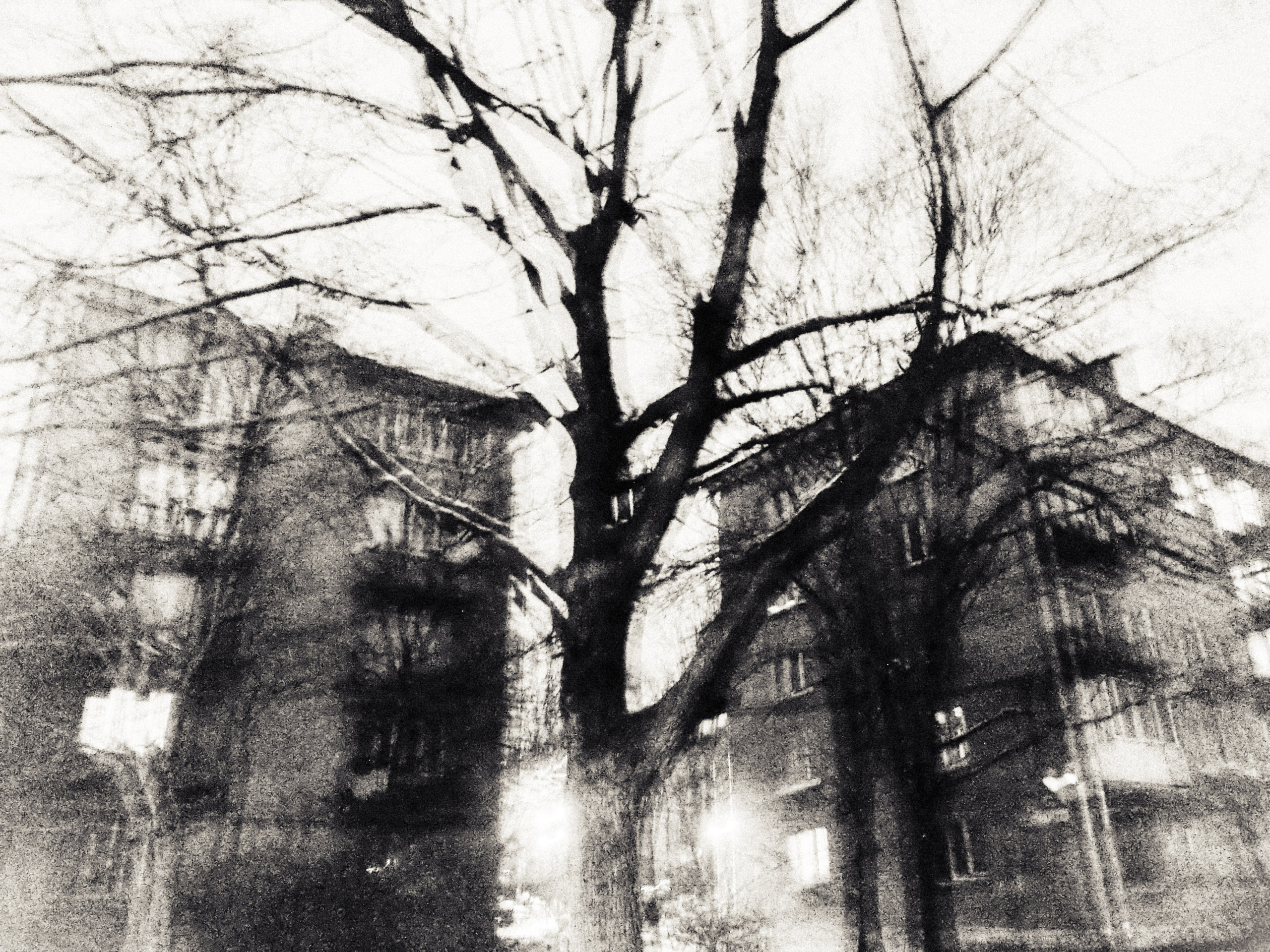 Nikon coolpix l26. Анна Мильч