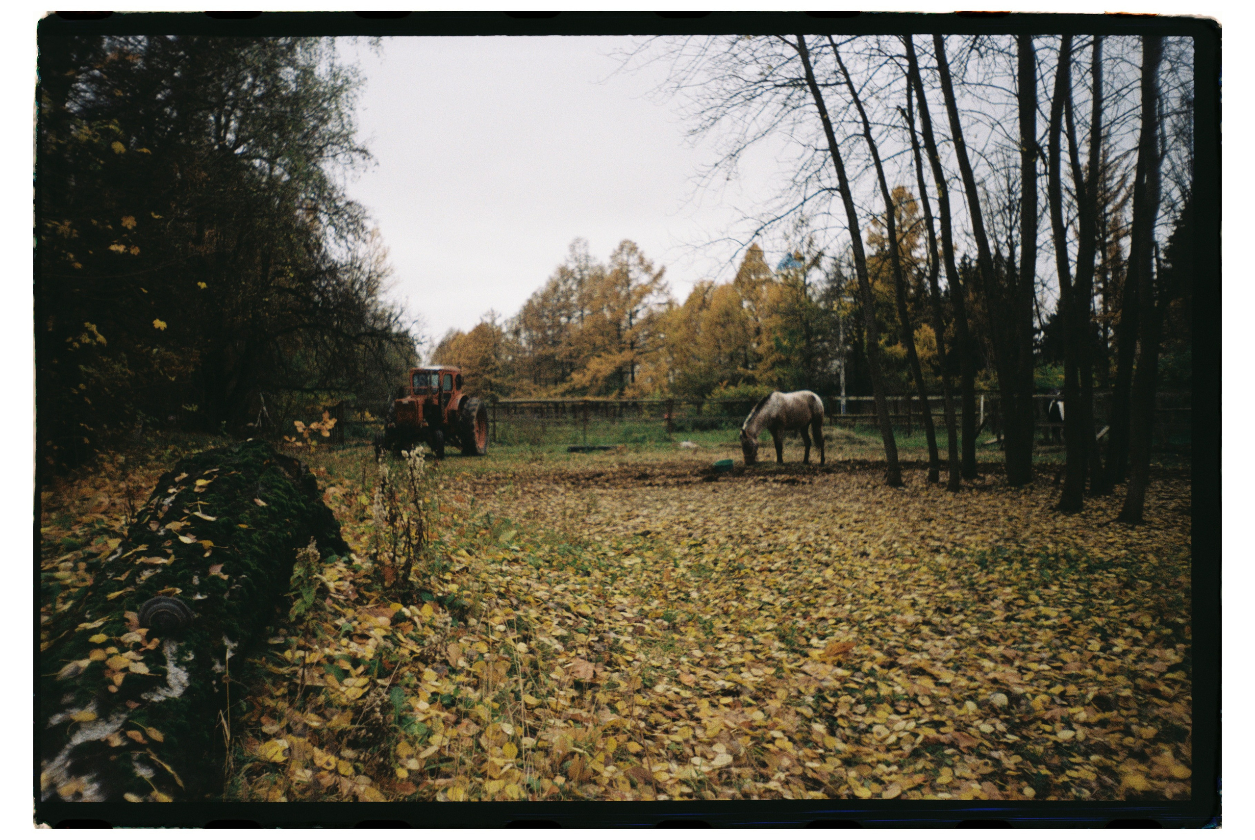 Film dairy. ㅤ