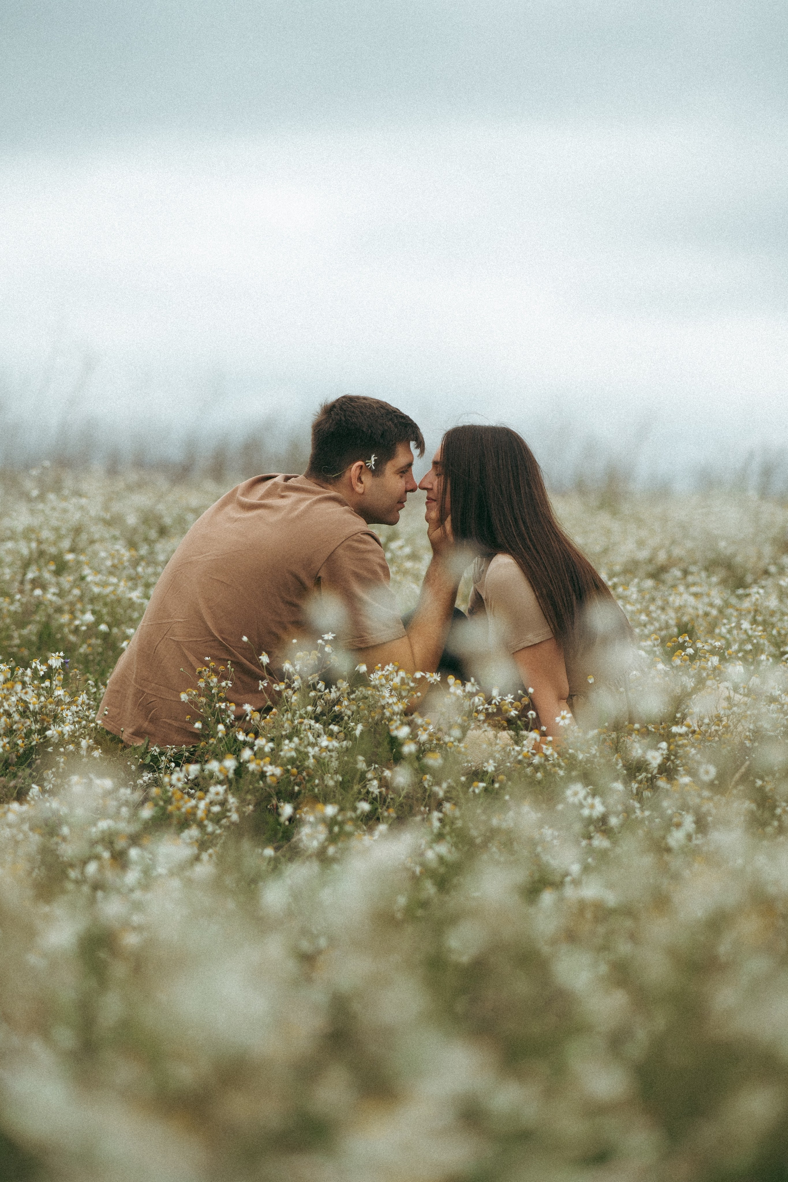 Ромашки. Фотограф Мария Зайчик